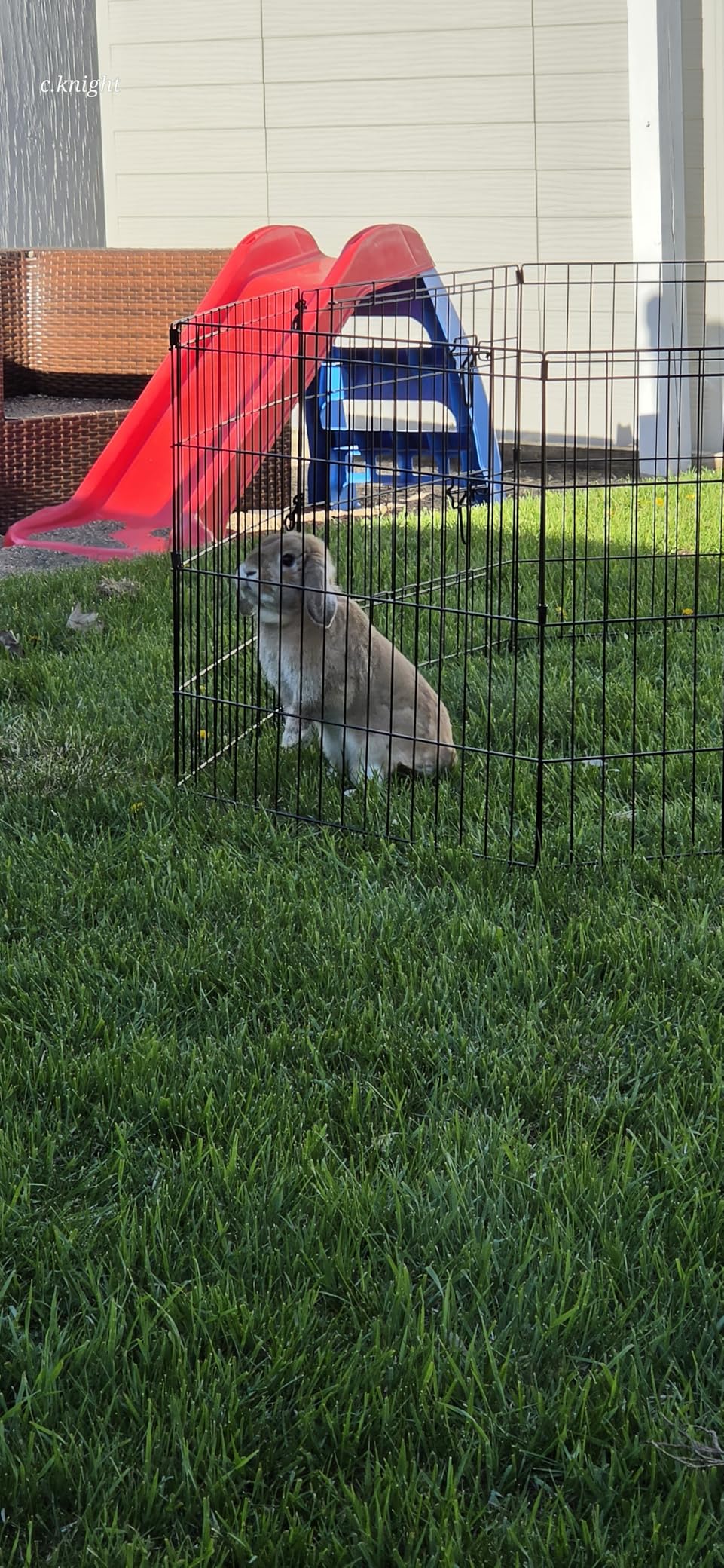 PETIME Foldable Metal Dog Exercise Pen/Pet Puppy Playpen Kennels Yard Fence Indoor/Outdoor 8 Panel 24