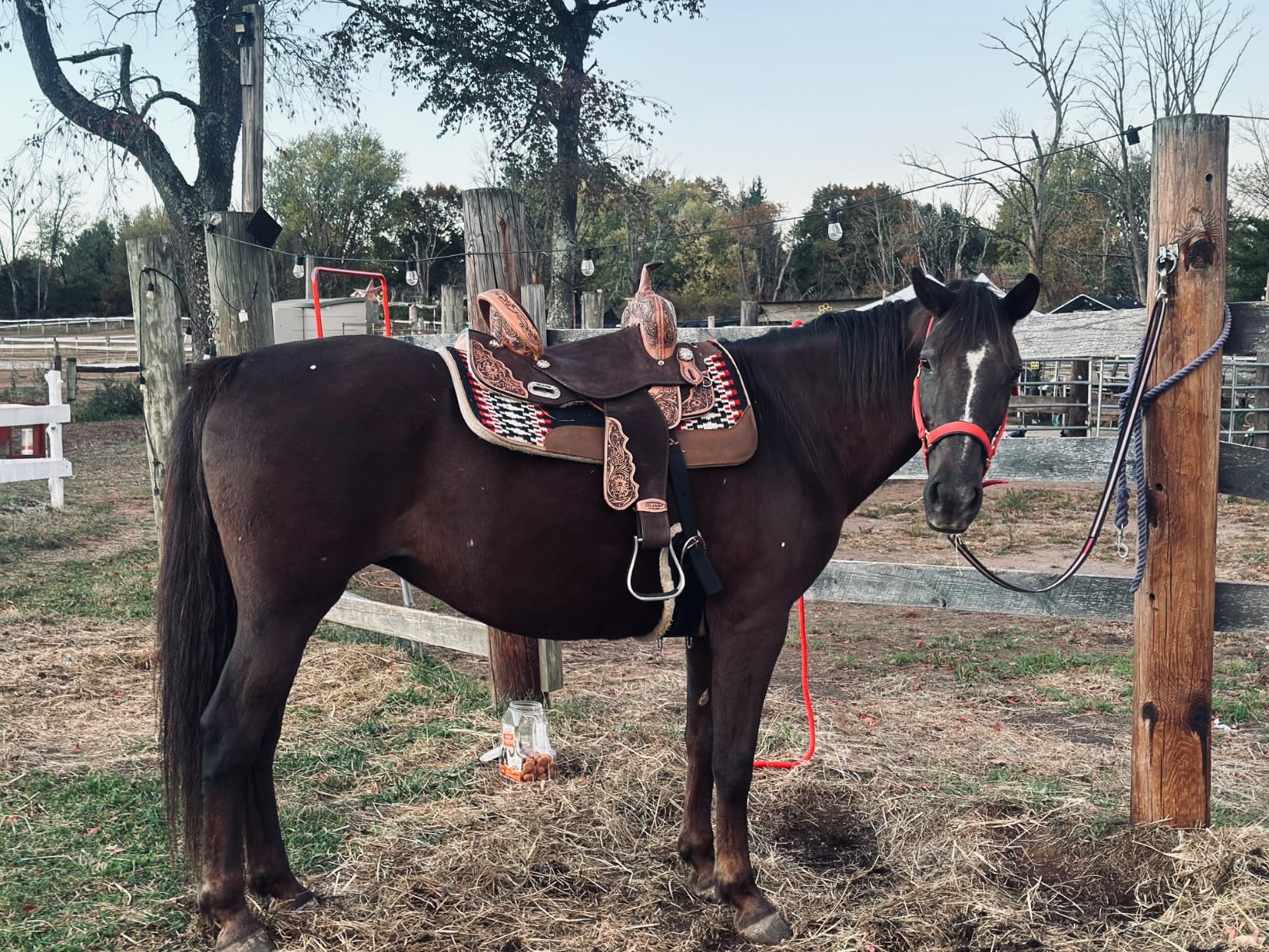 HILASON Western Horse Saddle Flex Tree American Leather Trail Barrel customer photo 1