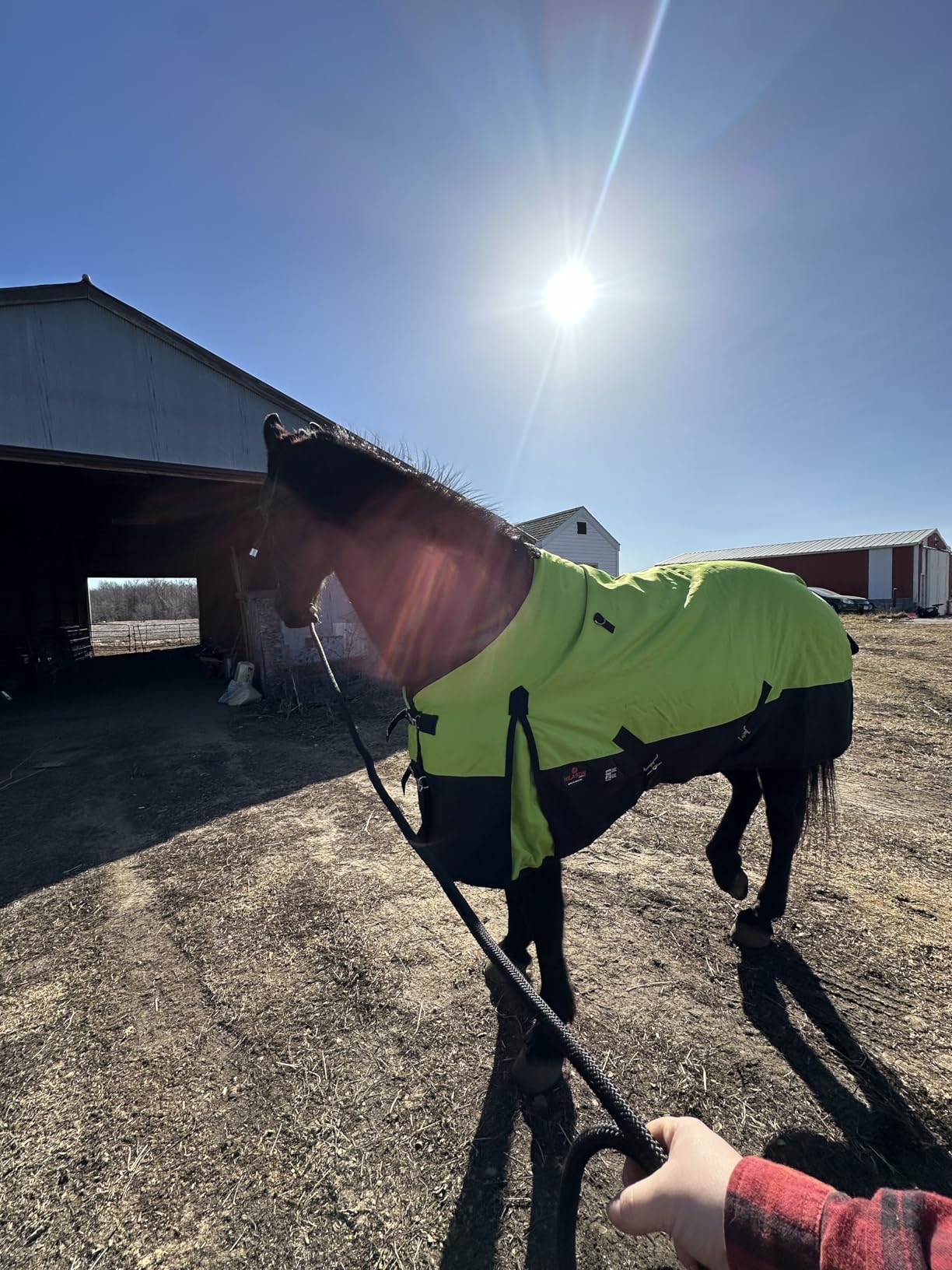 HILASON 1200D Waterproof Winter Horse Blanket Neck Cover Belly Wrap | Turnout Blankets for Horses customer photo 1