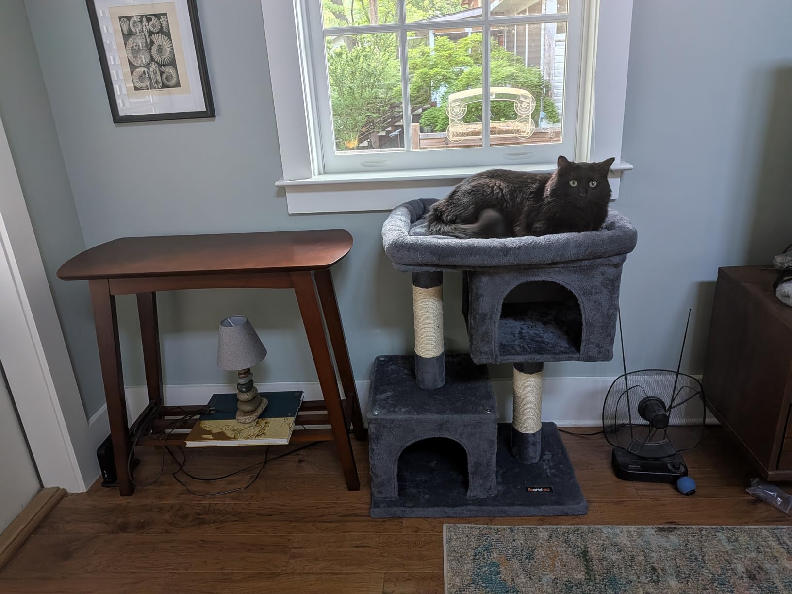 Feandrea Cat Tree, 40.6-Inch Cat Tower, Plush Condo for Extra Large Cats up to 44 lb, Large Perch, 2 Caves, Scratching Post, Light Gray UPCT614W01 customer photo 2