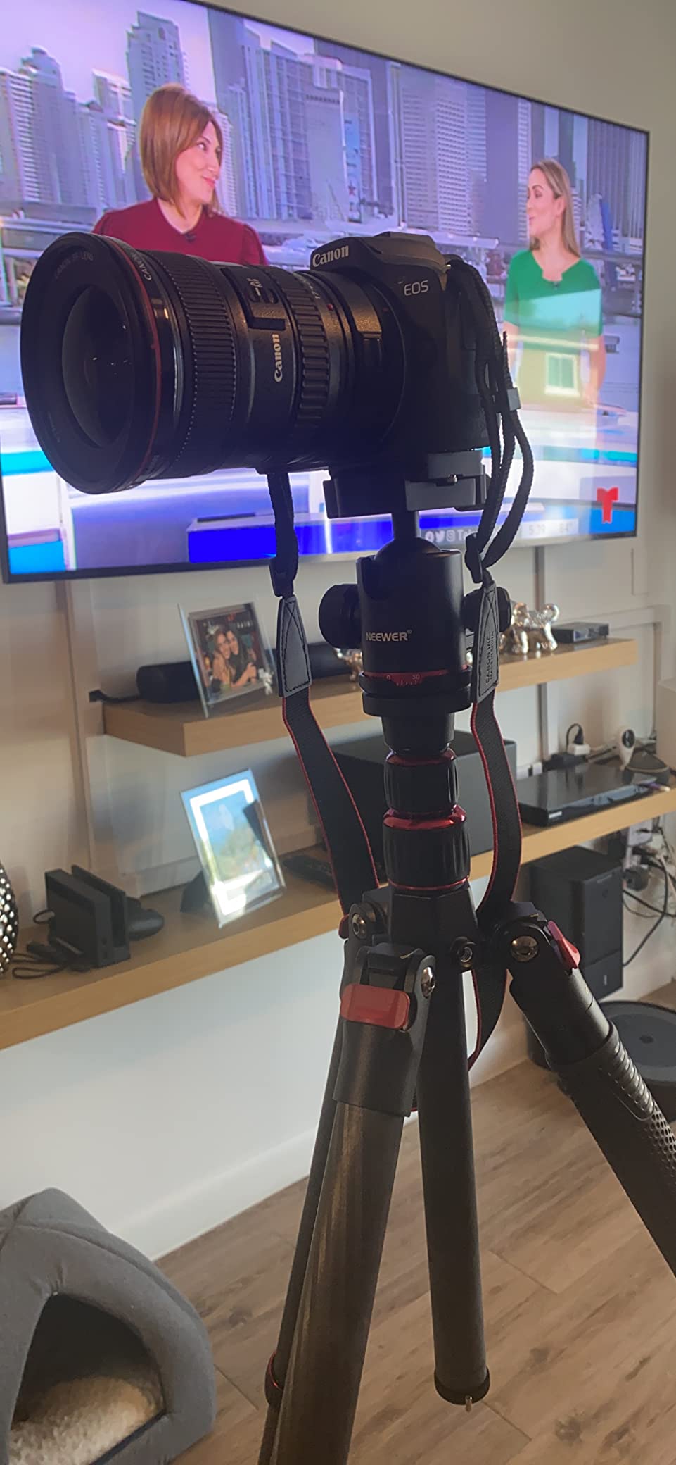 NEEWER N55CR Upgraded 80.7