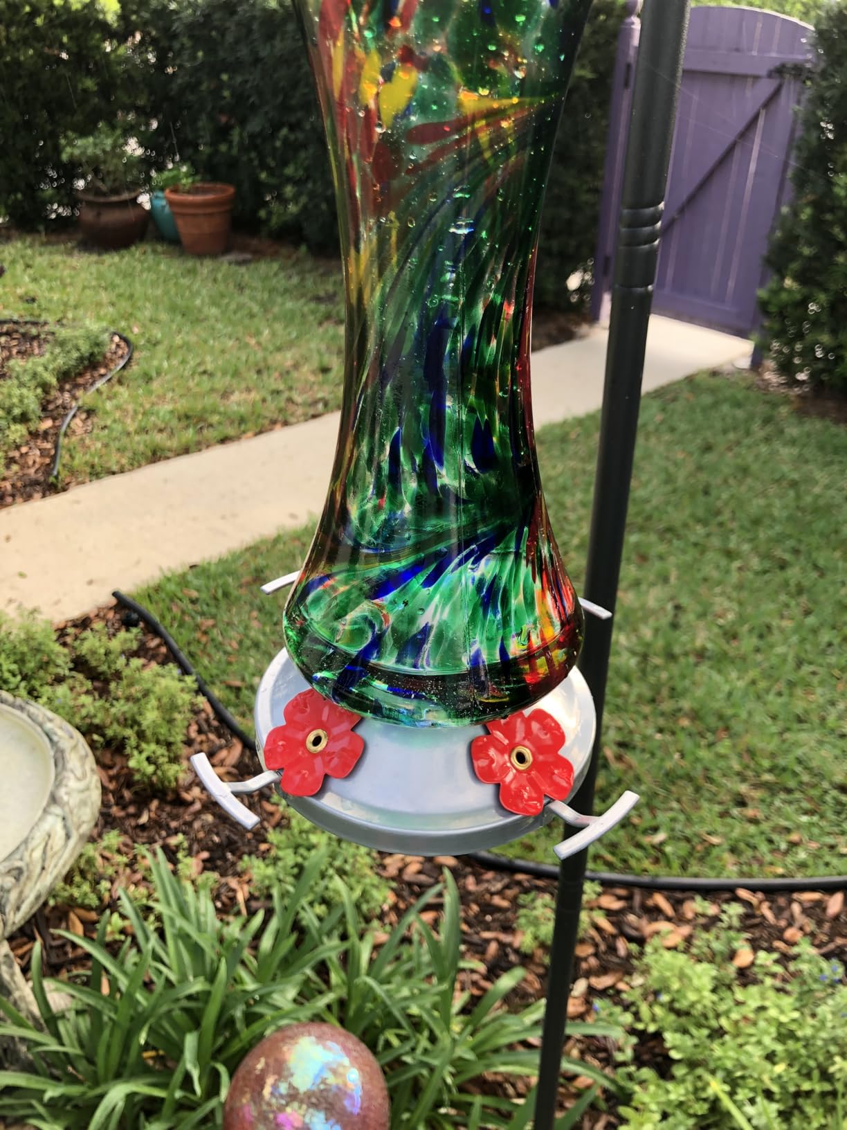 Glass Hummingbird Feeder for Outdoors: Leak Proof Hanging Hummingbirds Present for Women - Ant Moat & Hang Hook Included, Metal Base with 4 Feeding Ports & Perch, 20 Fluid Oz, Best Garden Decor customer photo 2