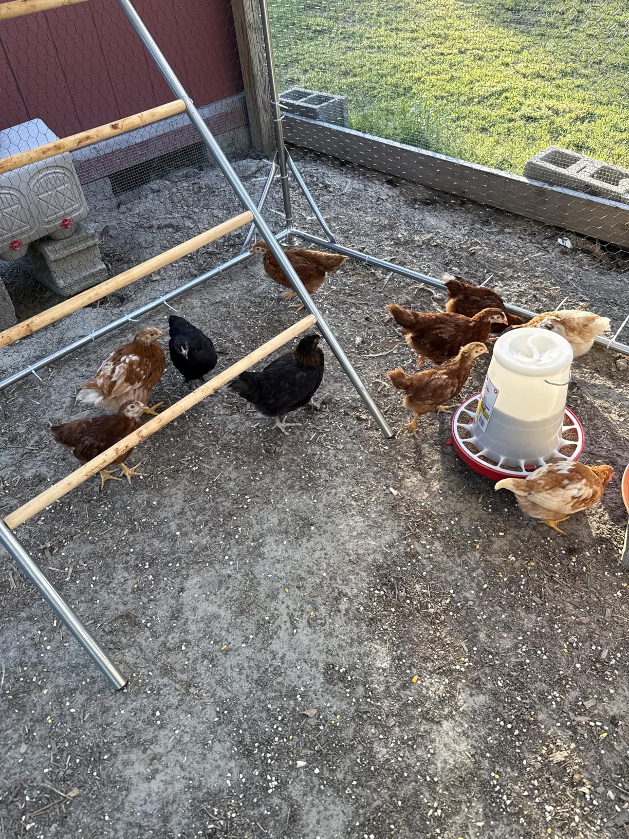 CHIKENCOOP Chicken Coop 9.8x6.5x6.5ft Large Metal Chicken Run for 6/10 Chickens Poultry Cage with Stability Corner Braces & Rear Support Pole, Roosting Perch, Walk-in Chicken Pen for Yard customer photo 1
