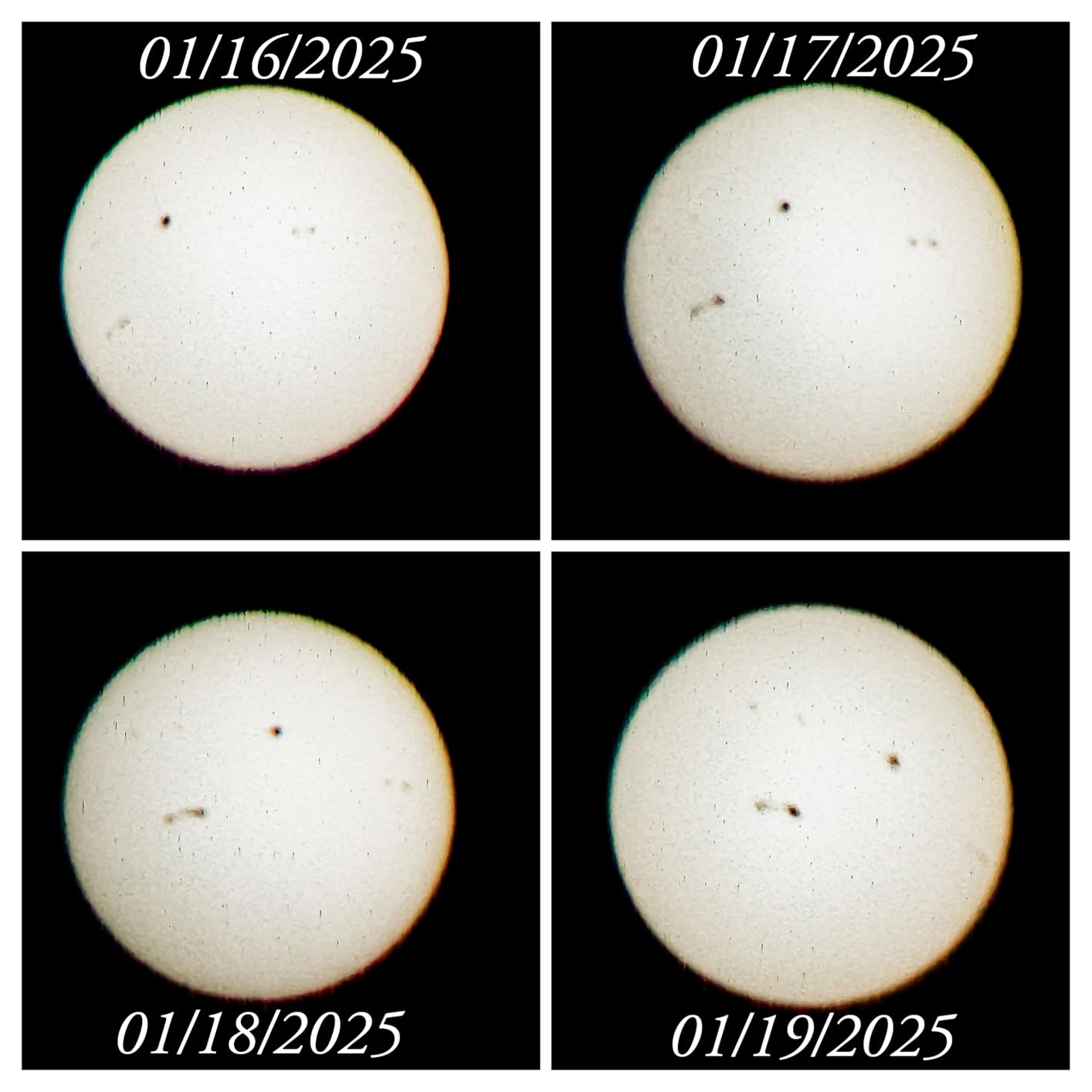 Celestron EclipSmart 12x50 Porro Solar Binocular with 5 Degree Angle of View customer photo 2