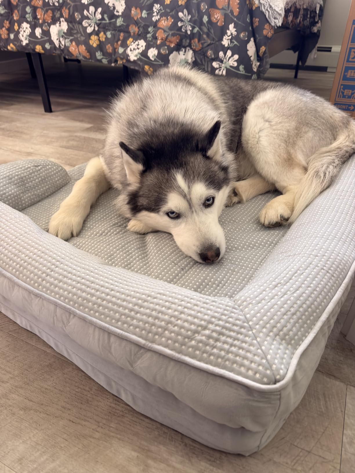 Bedsure L Plus Orthopedic Dog Bed for Large Dogs - Washable Dog Cat Bed Waterproof, L Plus Big Comfort Dogs Couch Sofa with Washable Removable Cover, Pet Bed with Nonskid Bottom, Grey, 38