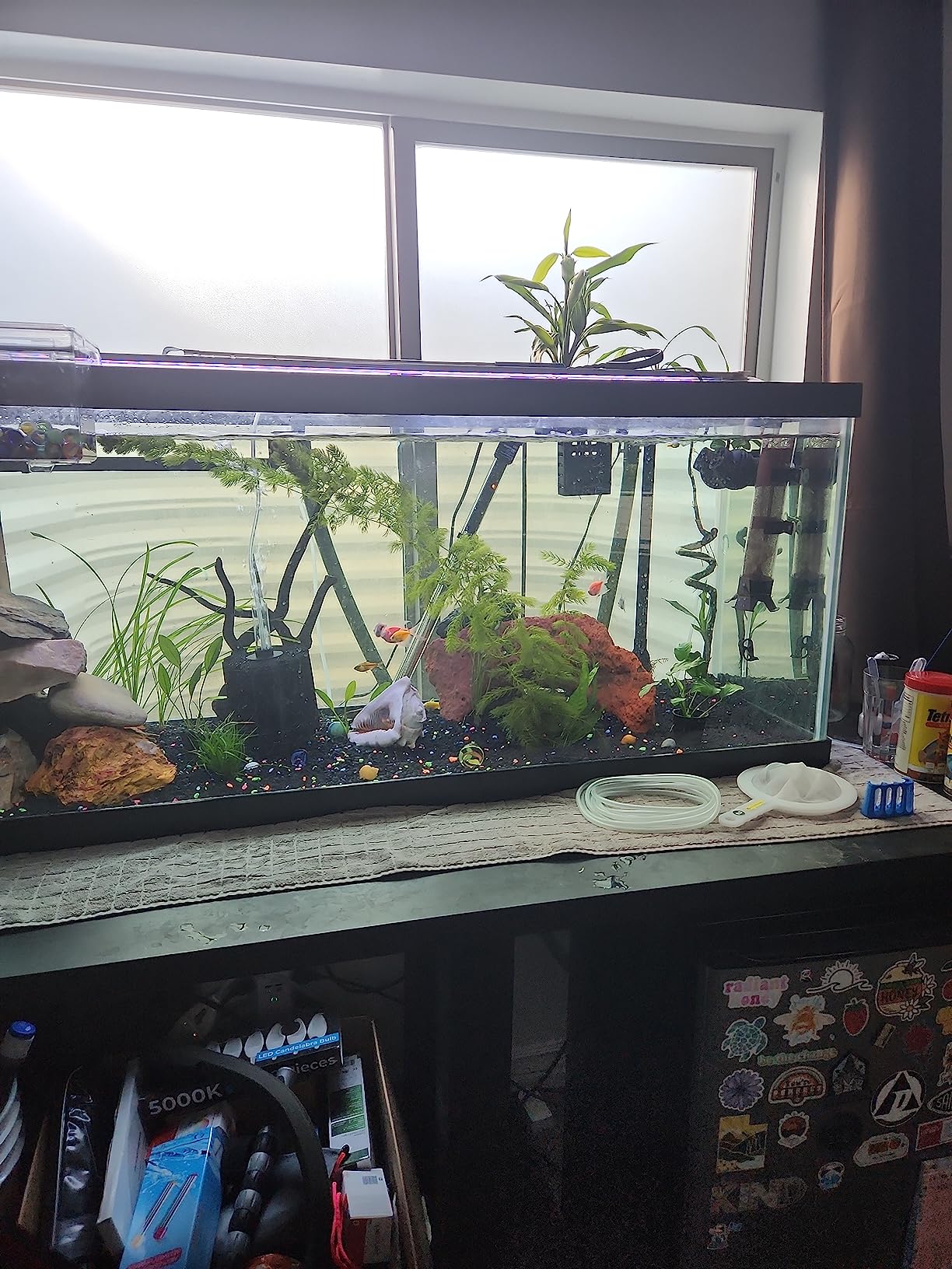 FREESEA Wave Maker for Aquarium Powerhead: 1600 GPH Circulation Pump with Magnetic Suction for 75-125 Gallon Fish Tank customer photo 1
