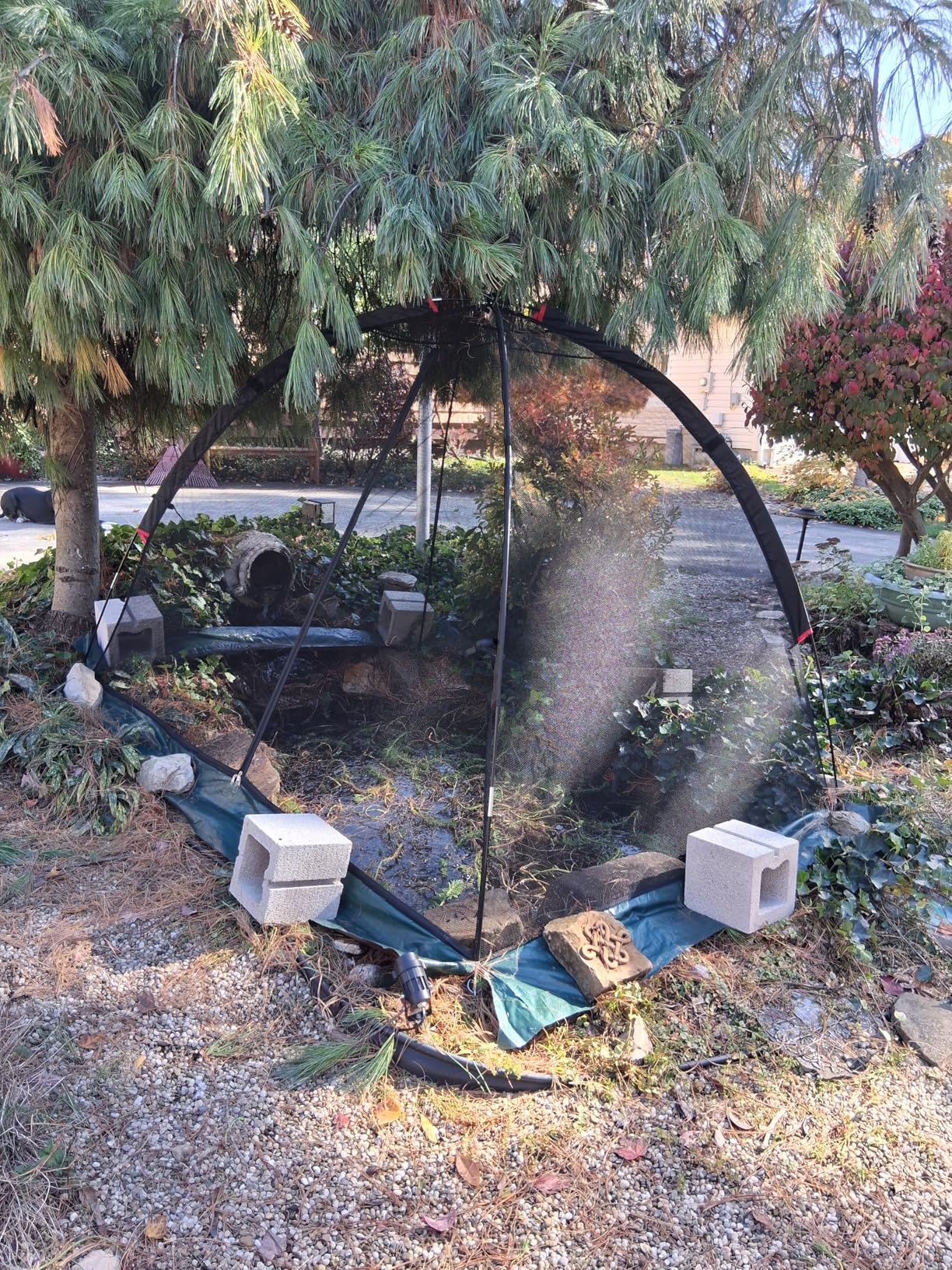 Pond Dome Cover with Zipper: 5x7FT Koi Netting for Leaves Protection Bird Barrier Mesh with Fiberglass Poles for Backyard Garden Ponds customer photo 1