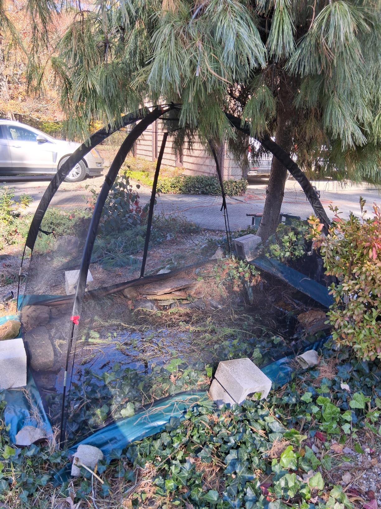Pond Dome Cover with Zipper: 5x7FT Koi Netting for Leaves Protection Bird Barrier Mesh with Fiberglass Poles for Backyard Garden Ponds customer photo 2
