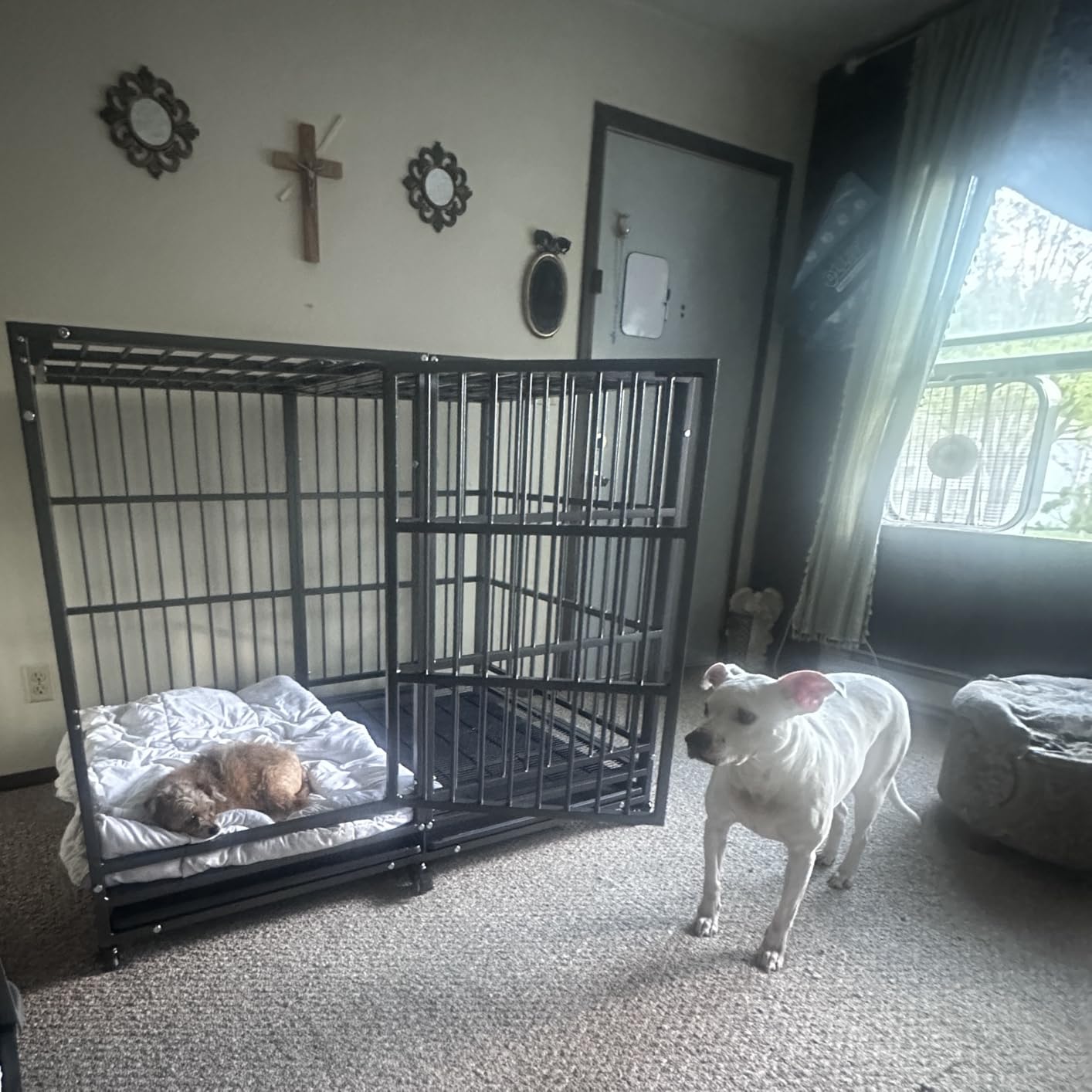 BOLDBONE 48 inch Heavy Duty Indestructible and Escape-Proof Dog Crate Cage Kennel for Large Dogs customer photo 1