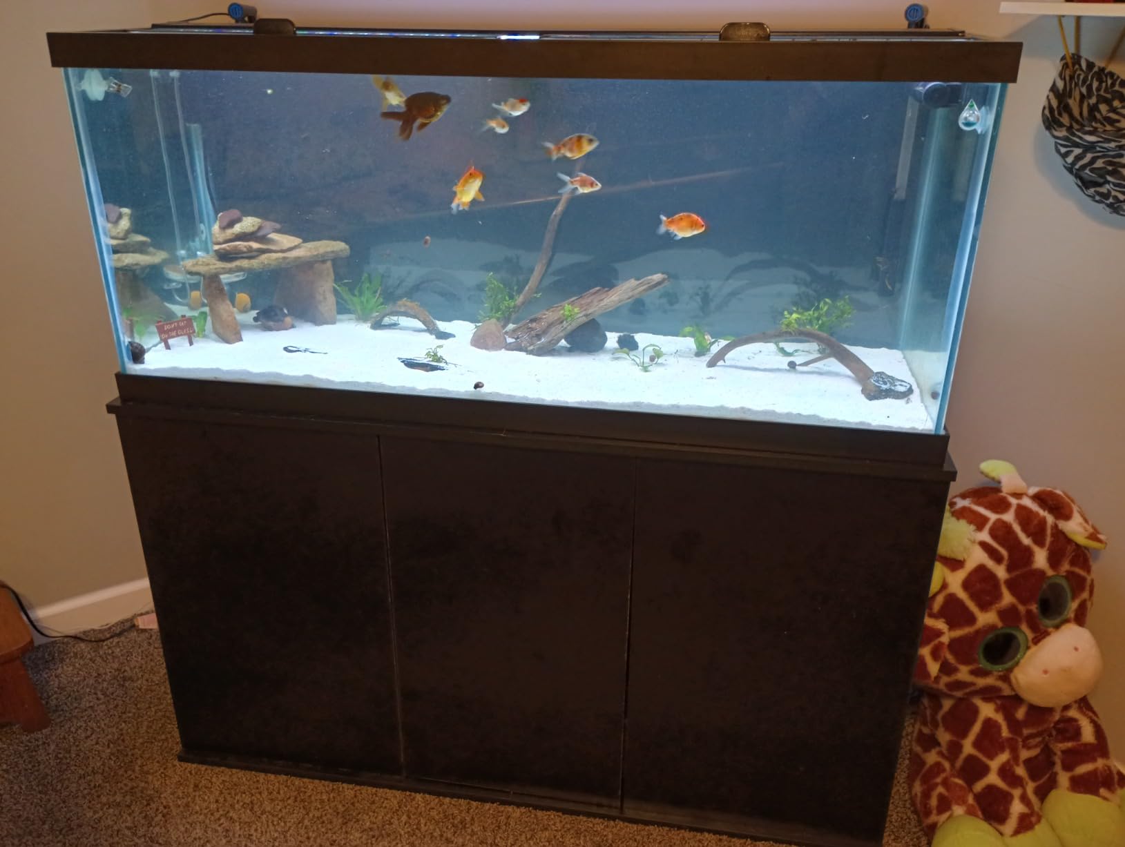 hygger Aquarium Wave Maker, Adjustable Cross Flow Pump with LED Display Controller, Magnetic DC 24V Aquarium Powerhead for Marine Reef Aquariums Up to 135 Gallon (18w) customer photo 2