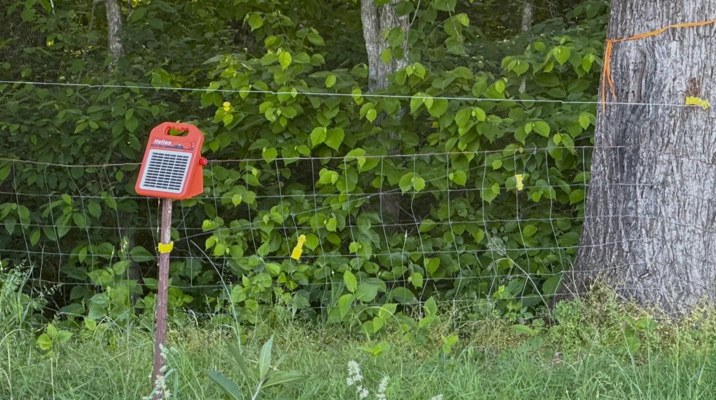 MINI160 2 Miles Solar Fence Charger, 0.16 Joule Solar Electric Fence Charger for Livestock, Pigs, Horses, Cattle Sheep, Solar Powered Electric Fence with Day or Night Mode, Easy Installation customer photo 1