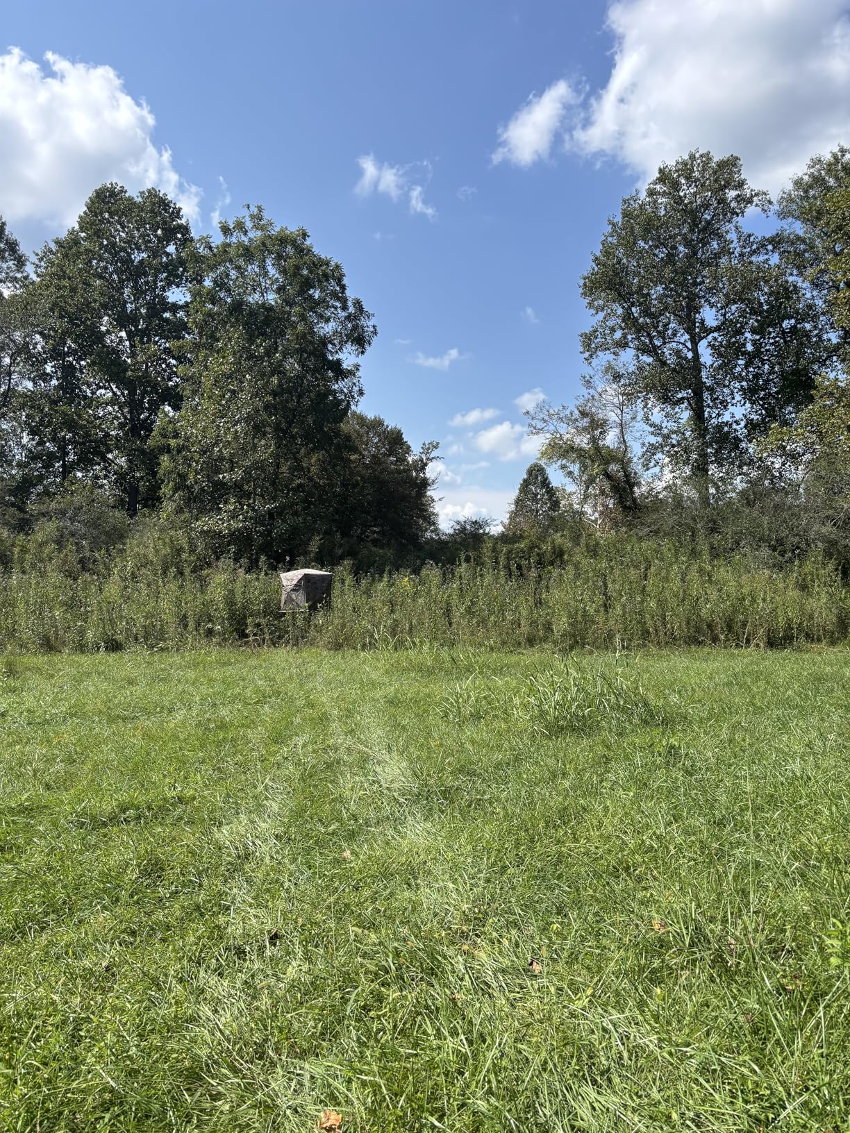 Muddy Ground Blind Platform, 65