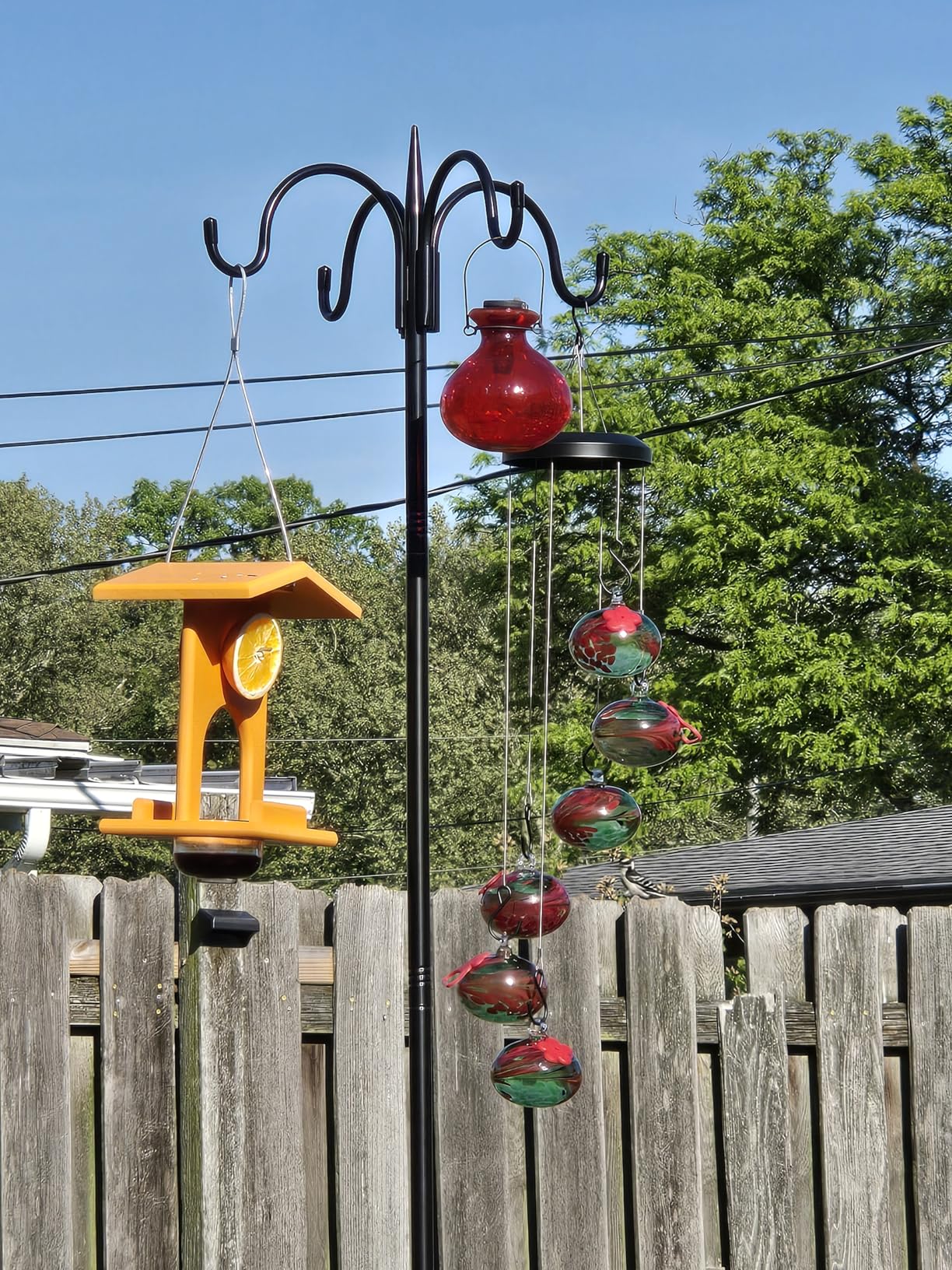 Headak Life Charming Wind Chimes Hummingbird feeders for Outdoors Hanging ant and bee Proof,Never Leak,Perfect Garden Decor for Outside customer photo 1