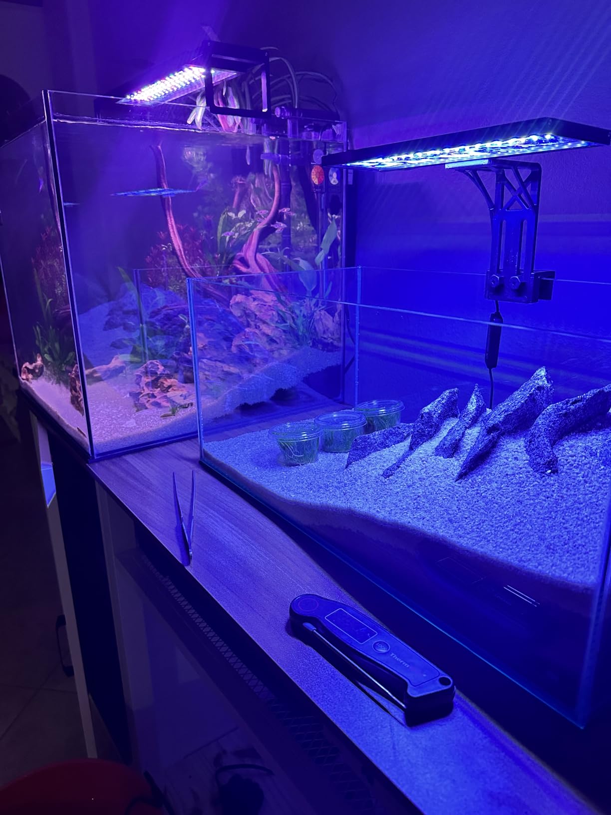SEAOURA Clip On Aquarium Light for Plants-24/7 Cycle Fish Tank Light with Timer, Full Spectrum+7 Colors Mode, Auto On/Off, Adjustable Brightness and Height, 12W (7inch for 7-12 inch Tank) customer photo 2