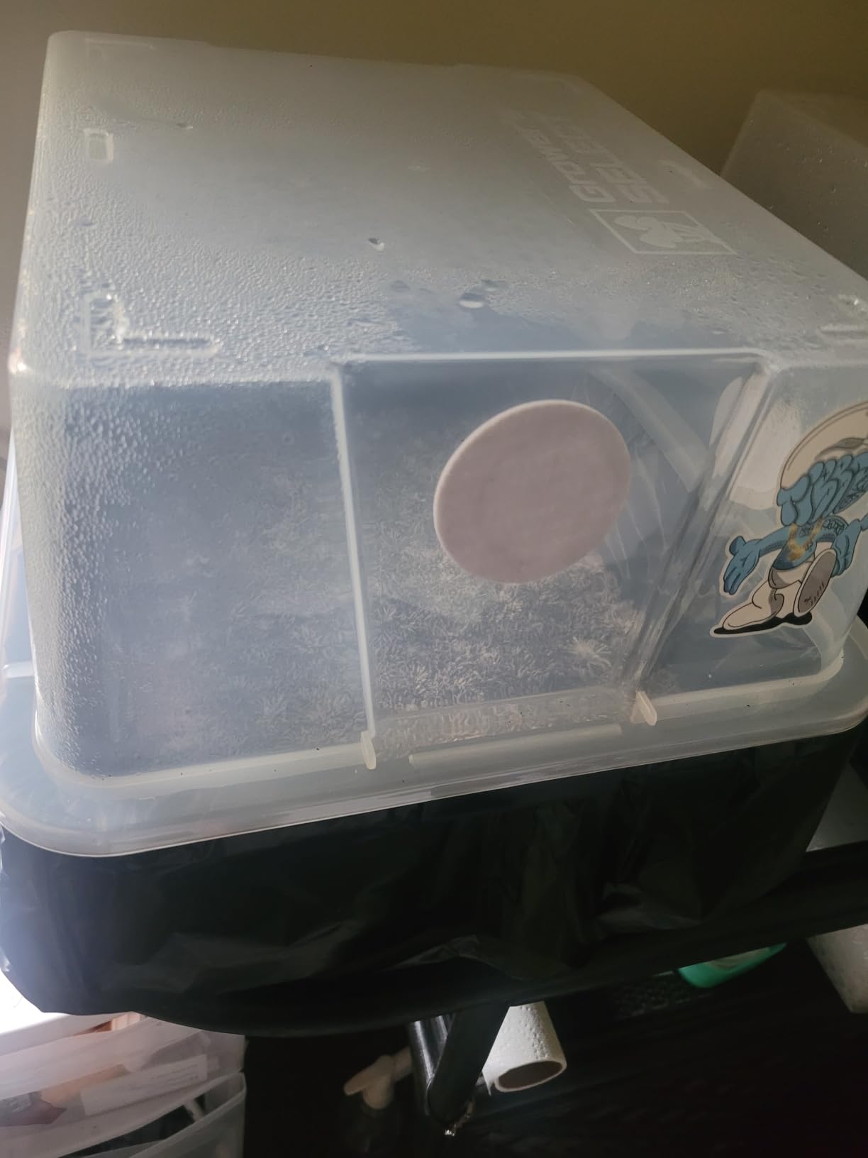 Myco Labs Grower's Select Mushroom Monotub Fruiting Chamber with Filter Disks and Liner customer photo 1