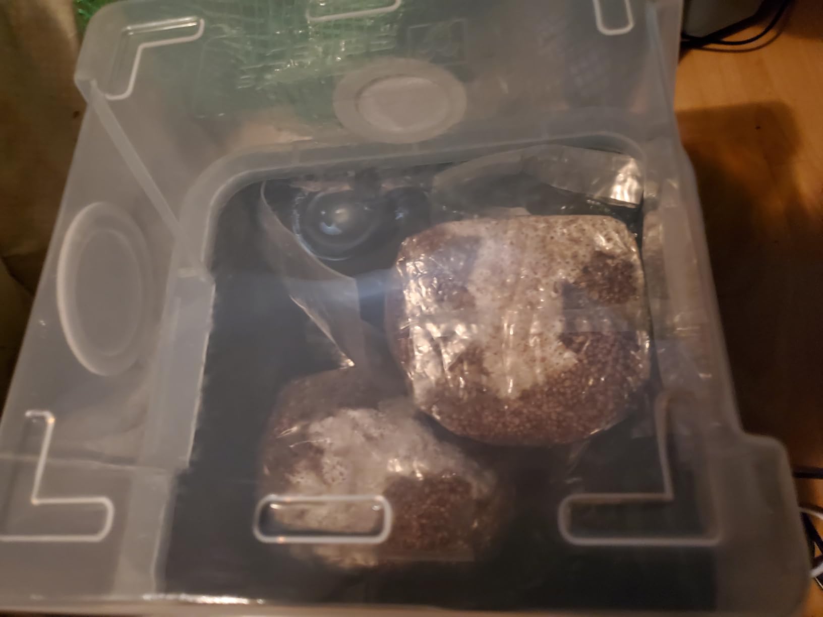 Myco Labs Grower's Select Mushroom Monotub Fruiting Chamber with Filter Disks and Liner customer photo 2