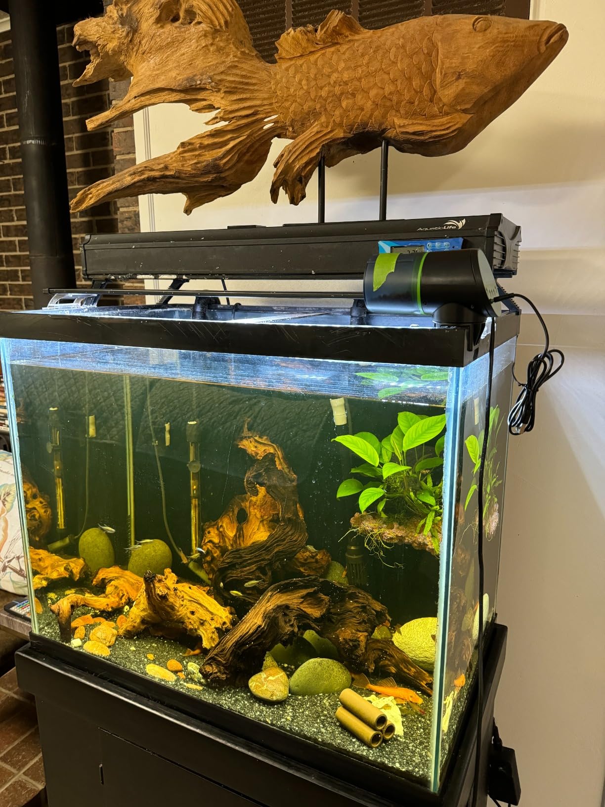 Automatic Fish Feeder for Aquarium - Auto Fish Food Dispenser Rechargeable for Small Large Tank with USB Charger Cable, 12/24/48H Interval Esay Set Up (Black, CY-019) customer photo 1