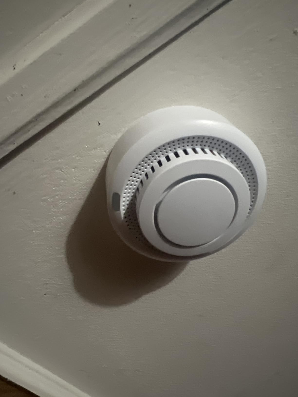 Smart Smoke Detector Fire Alarm: WiFi Smoke Detector with App Notifications, Wireless Smoke Alarm with Photoelectric Sensor for Home, Tuya App Remote Control, Battery Included customer photo 1
