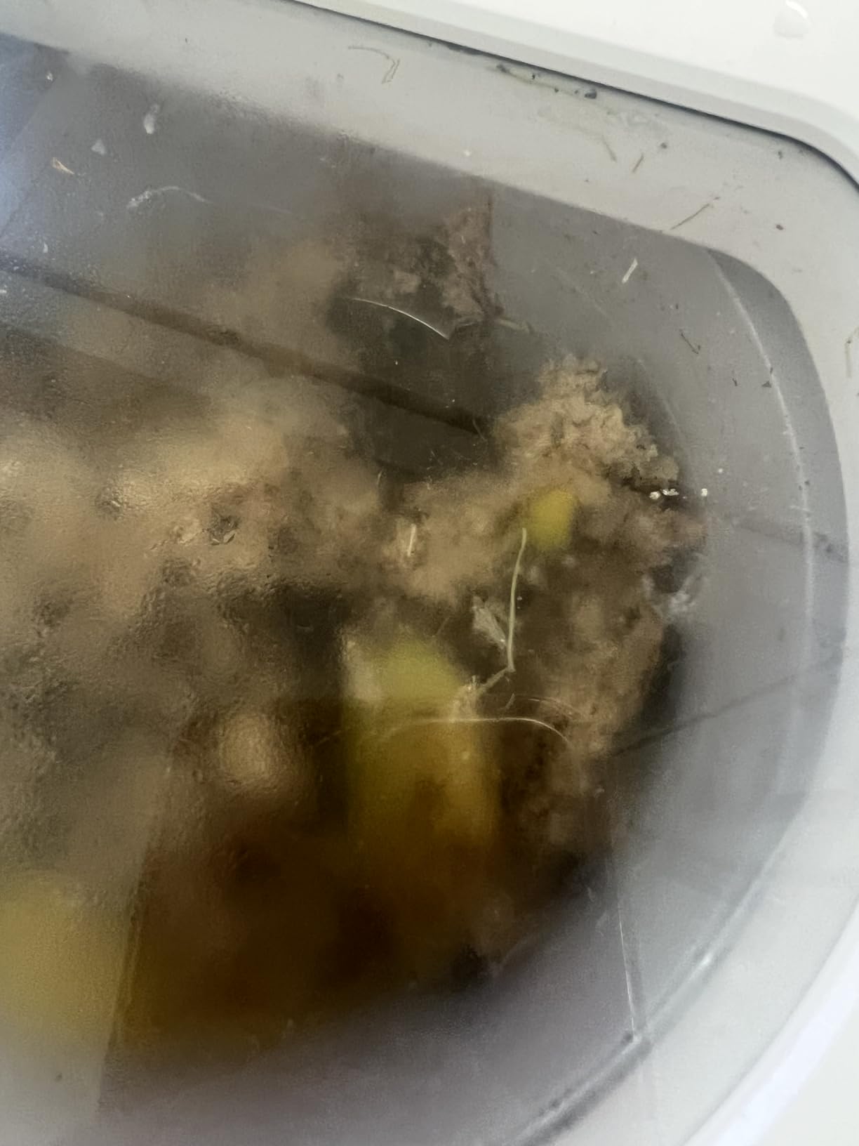 Airthereal Revive R500-V Electric Kitchen Composter, Visual Glass Cover, Grey customer photo 2