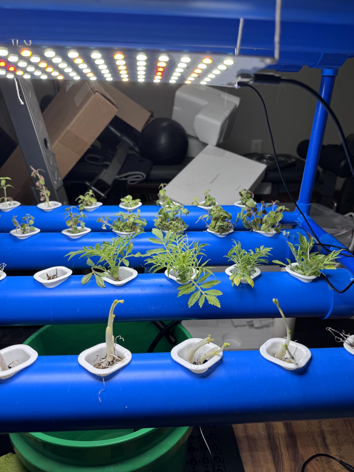 Hydroponics Growing System Kit for Vegetables, Flowers Fruits and Herbs, with 108 Plant Sites, Suitable for Indoor and Outdoor, Block Light Design customer photo 1