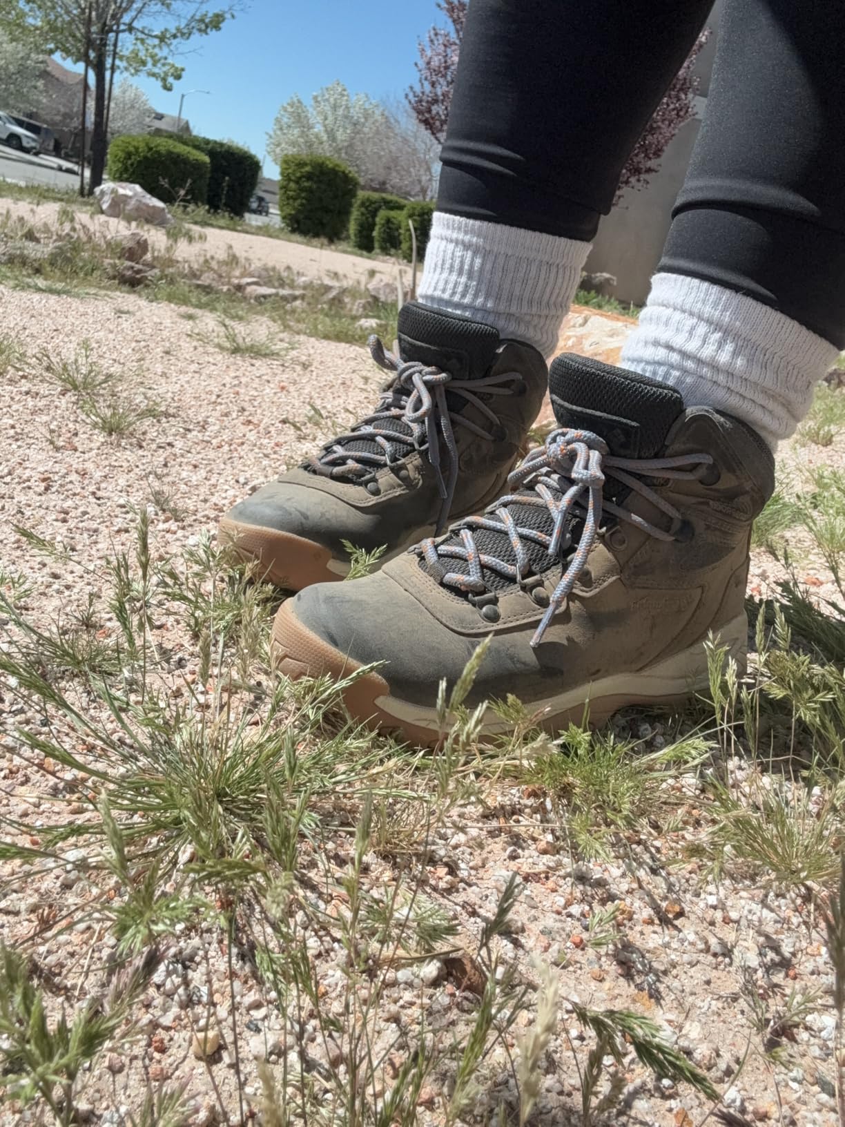 Columbia Women's Newton Ridge Plus Waterproof Hiking Boots customer photo 1