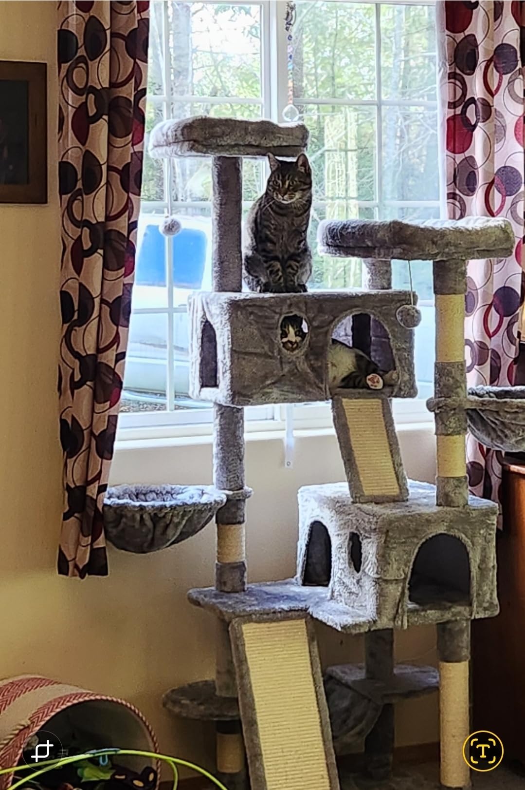 SHA CERLIN 65in Larger Cat Tree Tower Condo for Indoor Kitties/Multi-Level Furniture Activity Center with Wide Base/Cozy Plush Cat Perches/Baskets/Sisal Scratching Posts and Hammock/Beige customer photo 1