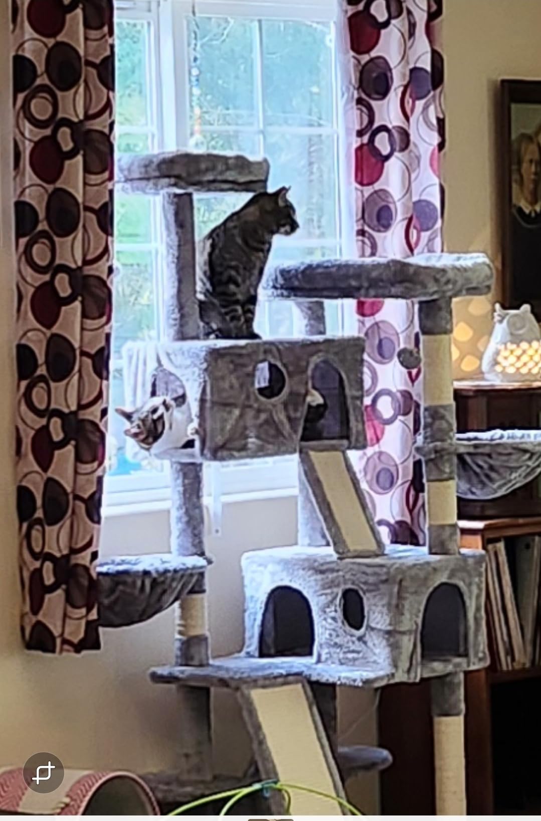 SHA CERLIN 65in Larger Cat Tree Tower Condo for Indoor Kitties/Multi-Level Furniture Activity Center with Wide Base/Cozy Plush Cat Perches/Baskets/Sisal Scratching Posts and Hammock/Beige customer photo 2
