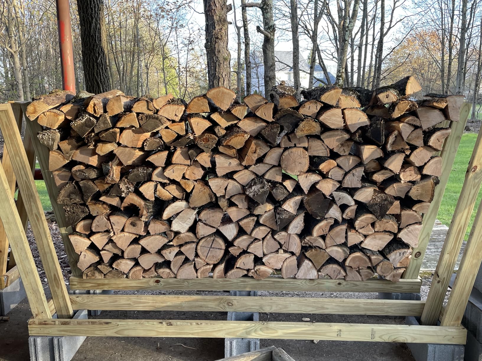 EGO POWER+ Chain Saw, 20-Inch Battery Powered Chainsaw, Electric Cordless (CS2000) customer photo 2
