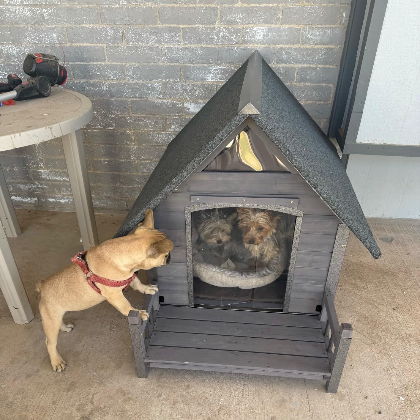 Dog House Outdoor with Insulated Liner, Winter Dog Kennel for Small Mediun Dogs with Anti-Biting Metal Iron Frame, Heated Dog House 100% Insulated customer photo 2