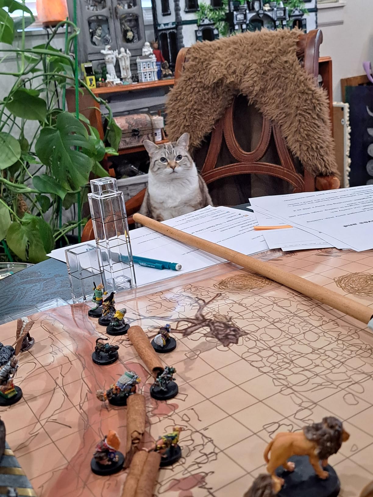 oTTRPGo 6 Pack DND Map 12 Terrain 24x36, 1 Inch Grids Dry Erase Battle Mats, Lay Flat Easier Clips, Double-Sided for the Dungeons & Dragons Role Playing Tabletop Game customer photo 2