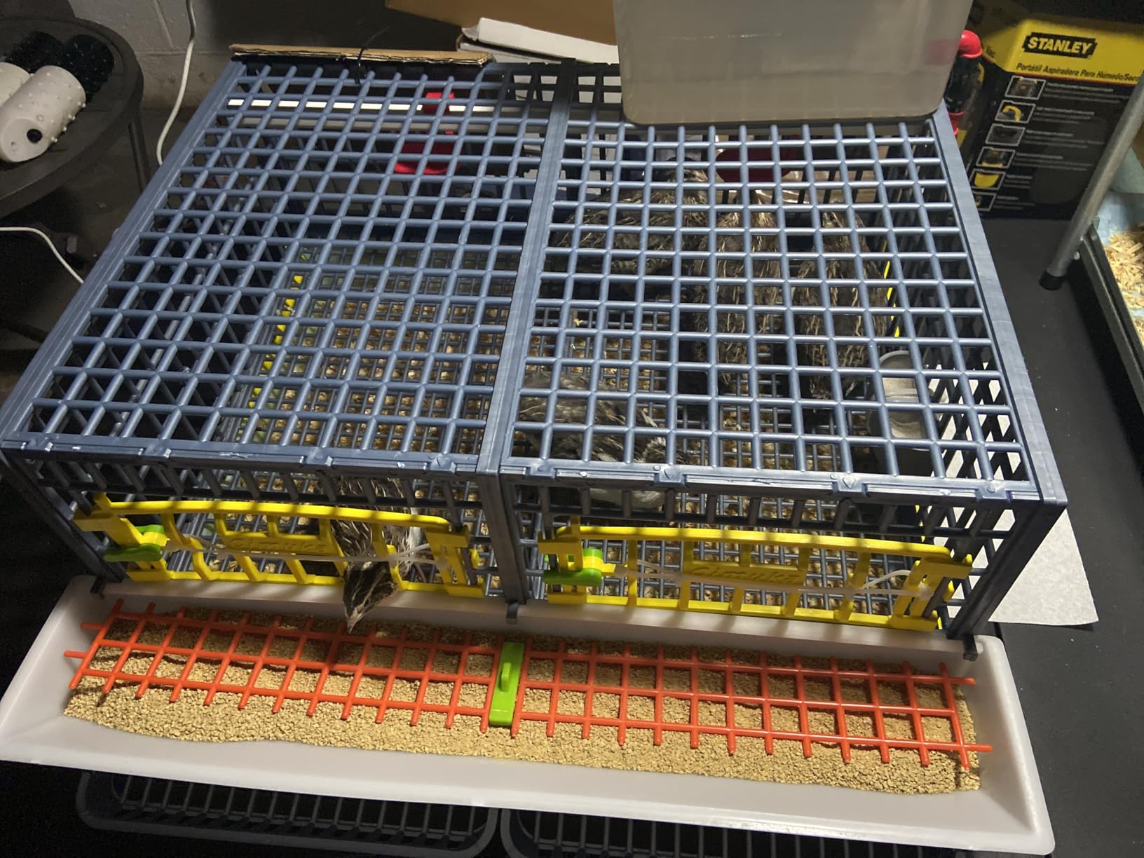 Hatching Time Quail Breeding Cage Indoor Double Layer Stackable Coop for Birds - Rust-Free Easy Clean Egg Roll-Out Tray, 3 Sections per Layer, Removable Middle Walls, Long Waste Trays by Cimuka, Blue customer photo 1