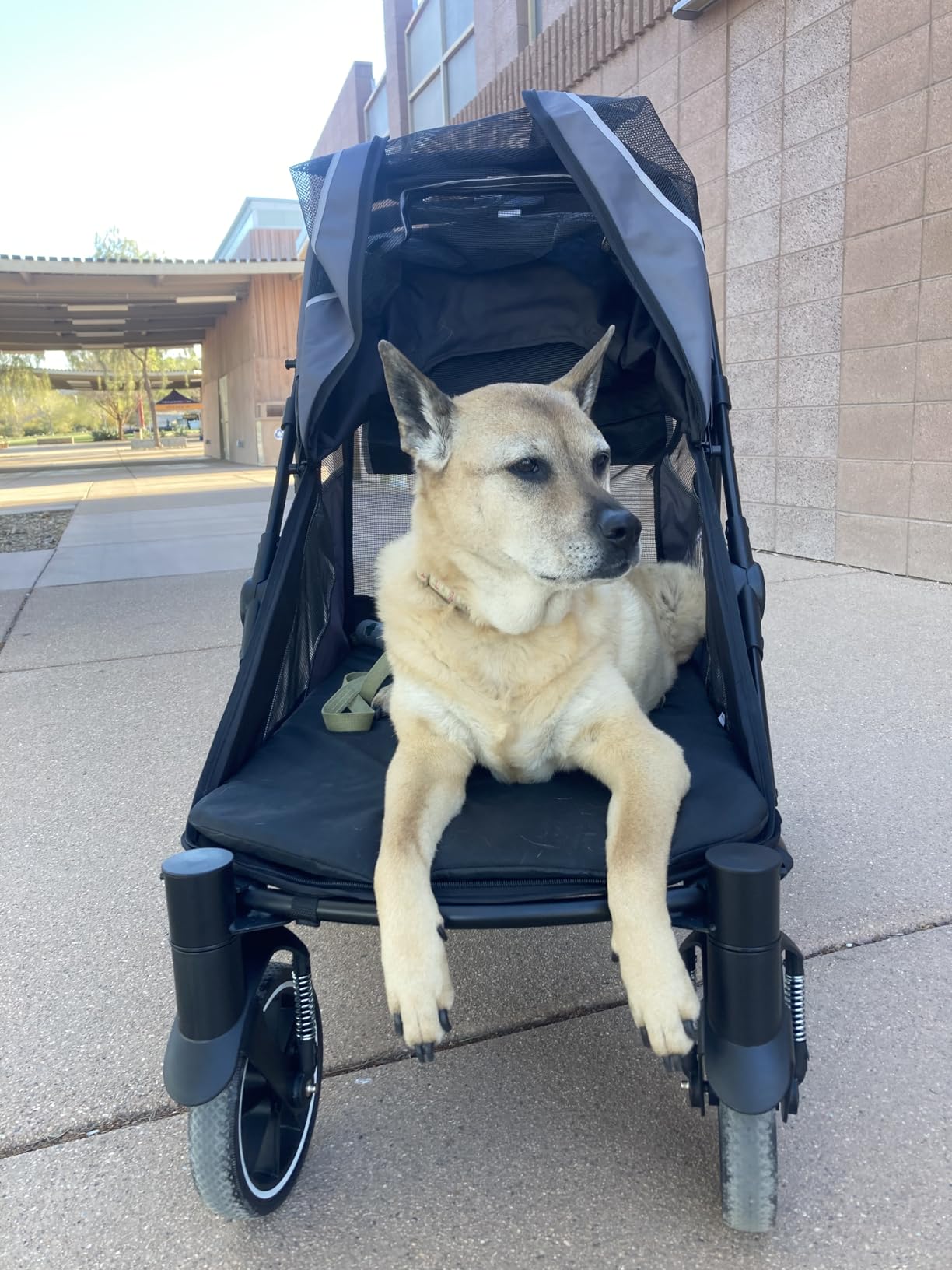 Dog Stroller for Medium/Large Dogs One-Click Folding, Extra Large Pet Stroller for 2 Dogs with Storage Pocket & Shock Absorption, Up to 130 lbs, Grey customer photo 2
