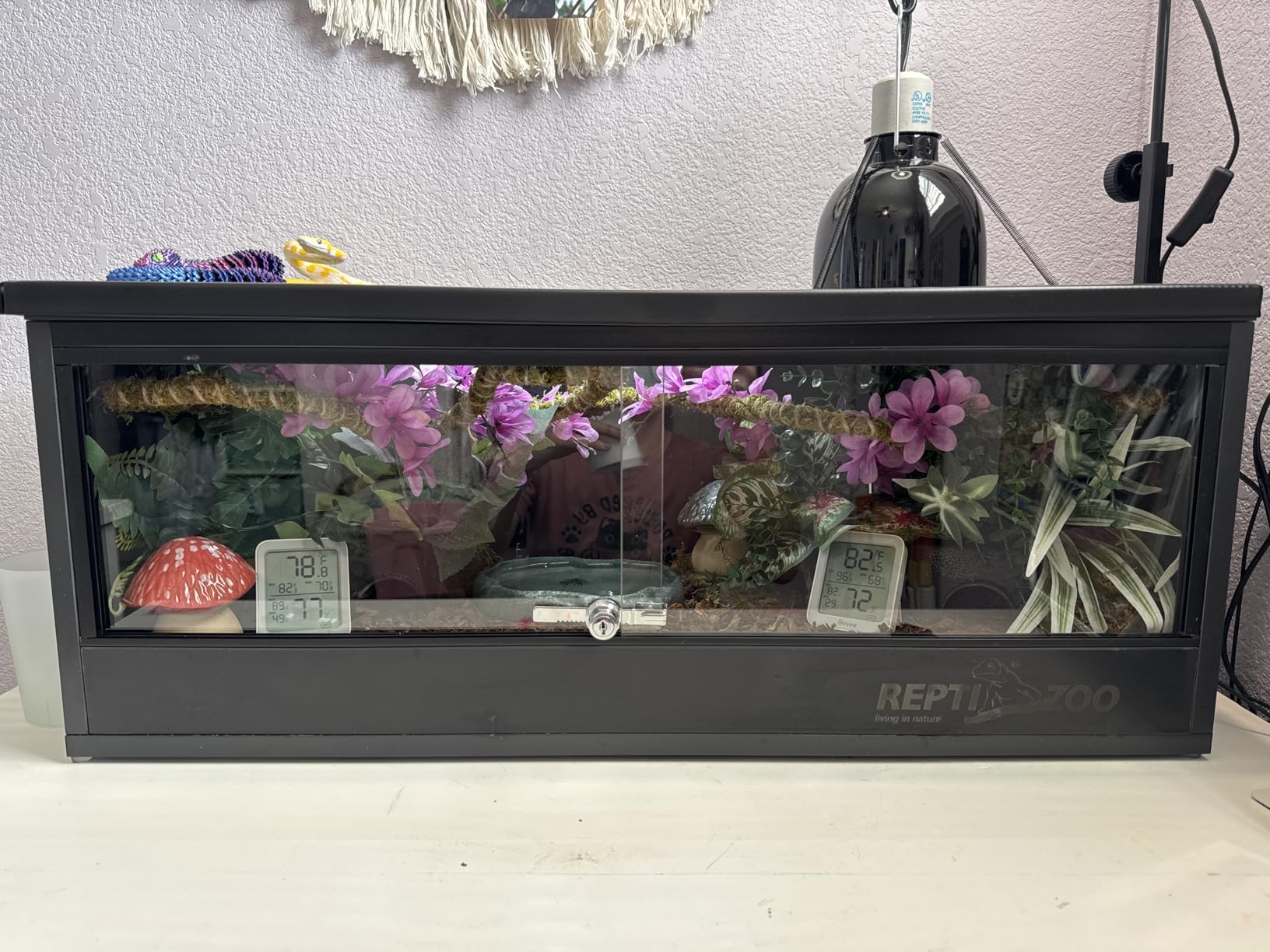 REPTI ZOO 35 Gallon PVC Reptile Tank, Reptile Terrarium for Crested Gecko Frog Lizard Snake Turtle Hermit Crab, 36x18x12 inch Leopard Gecko Enclosure with Sliding Door & Screen Ventilation customer photo 2