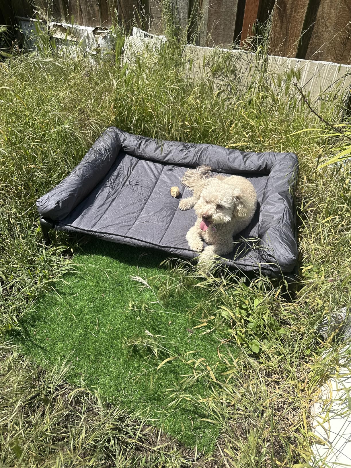 Veehoo Cooling Elevated Dog Bed Add Removable Waterproof Bolster Cushion Mat, Raised Pet Cot with Breathable Teslin Mesh, No-Slip Feet, Dog Sofa Bed for Indoor Outdoor, Medium, Black CWC2331B customer photo 1