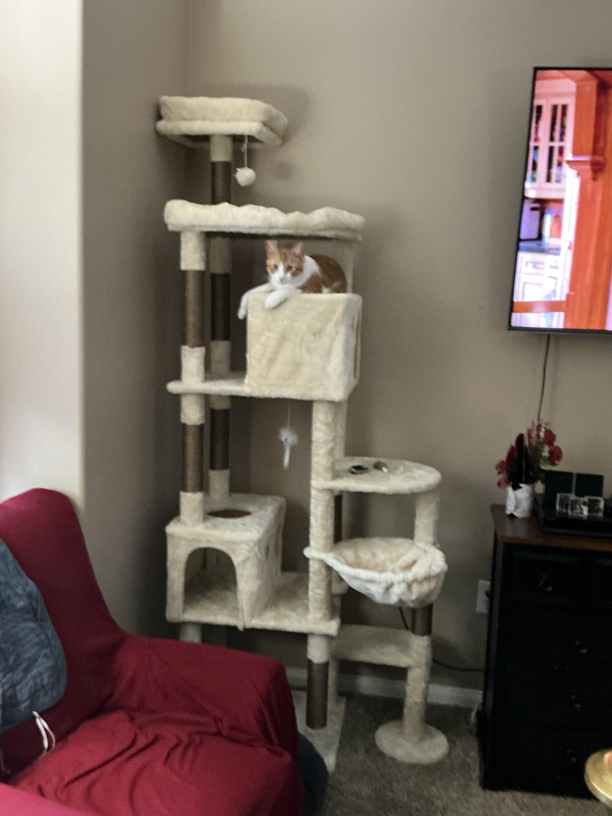 Globlazer Giant Cat Tree, 83 inch Cat Tree for Indoor Cats Large Adult, XXL Cat Tower with 9 Scratching Posts for 20lb+ Heavy Duty Large Adult Cats, F83, Dark Grey customer photo 2