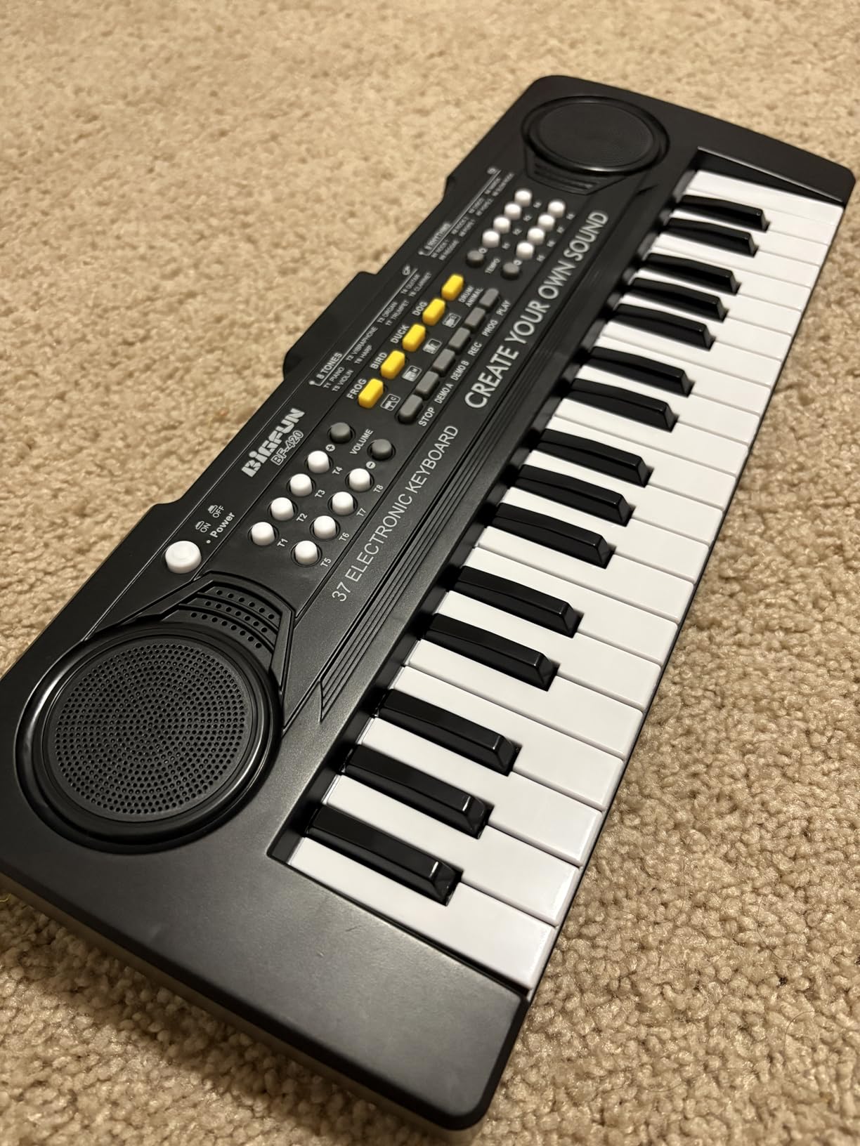 Raimy 37 Keys Keyboard Piano for Kids, Early Learning Educational Portable Electronic Musical Instrument Toys Gifts for 3 4 5 6 7 8 9 Year Old Boys and Girls (Black) customer photo 2