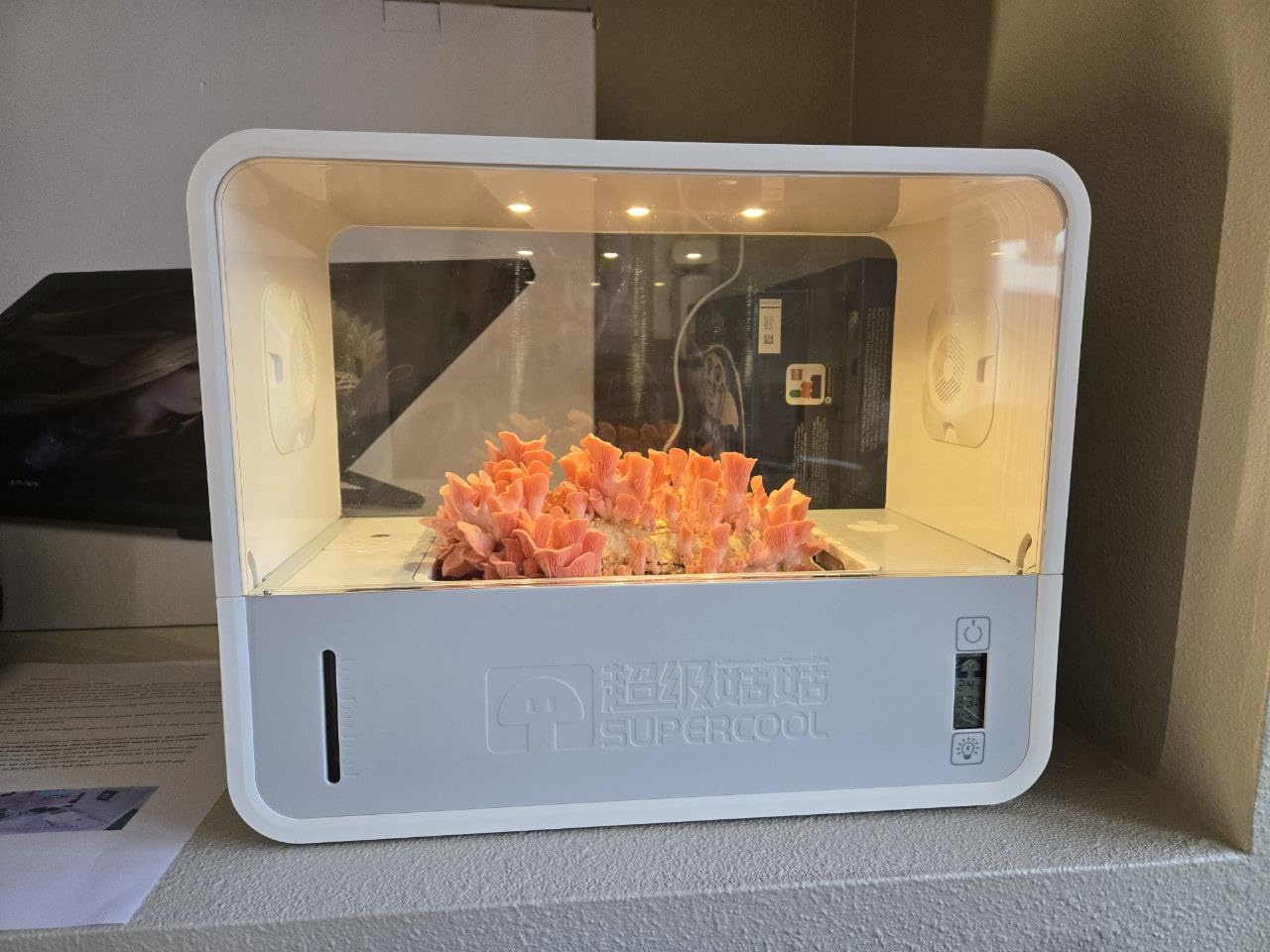 Mushroom Grow Tent with Automatically Adjusts Humidity, Indoor Mushroom Grow Box with Grow Light, Smart Monotub Mushroom Growing Kit with Temperature Display, Still Air Box for Mushroom Growers customer photo 1