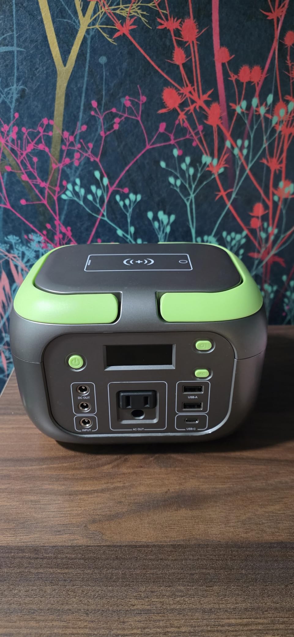 SinKeu Solar Powered Generator 300W Peak/70400mAh, 260Wh Portable Power Station with Panels 40W Included, Solar Generator with AC Outlet 110V for Home Use, Camping, Outdoor, Power Backup customer photo 2