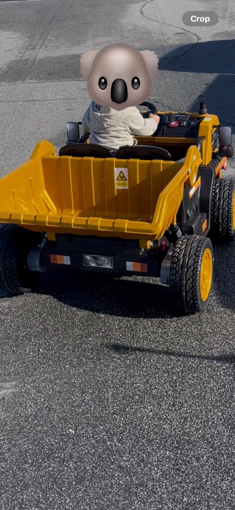 ANPABO 24V Ride On Dump Truck, 2X75W Powerful Motors, EVA Tires, Electric Dump Bed, 2 Seater customer photo 2
