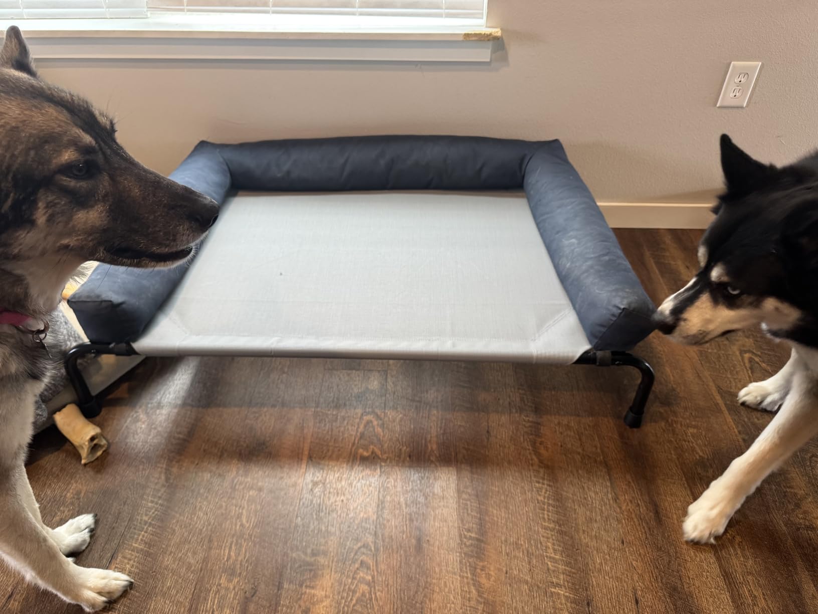 Simple Trending Raised Dog Bed for Large Dogs, Waterproof XL Dog Cot, Outdoor Cooling Elevated Pet Bed Load 200lb, 47.75