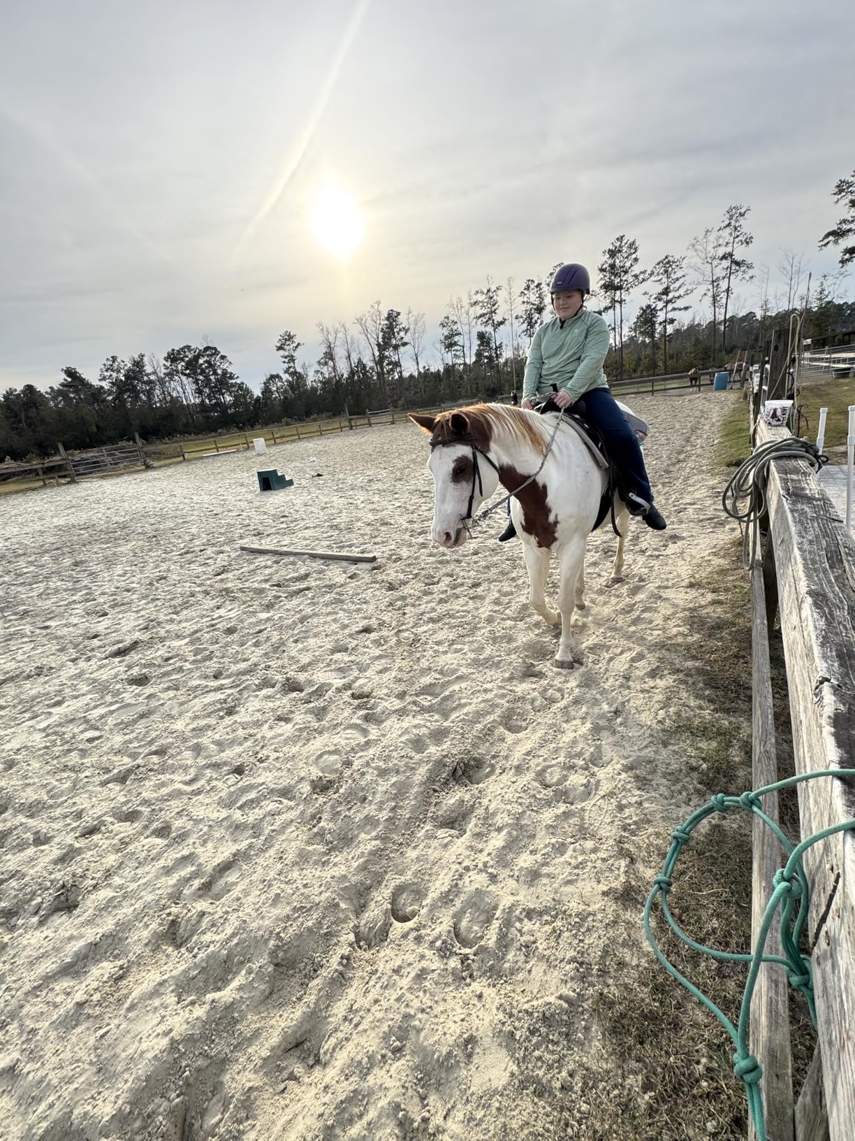 Equinavia Skylar Horse Riding Helmet - Lightweight Equestrian Helmet with Airflow Vents, Adjustable Dial & Removable Liner, ASTM F1163-23/SEI Certified customer photo 1