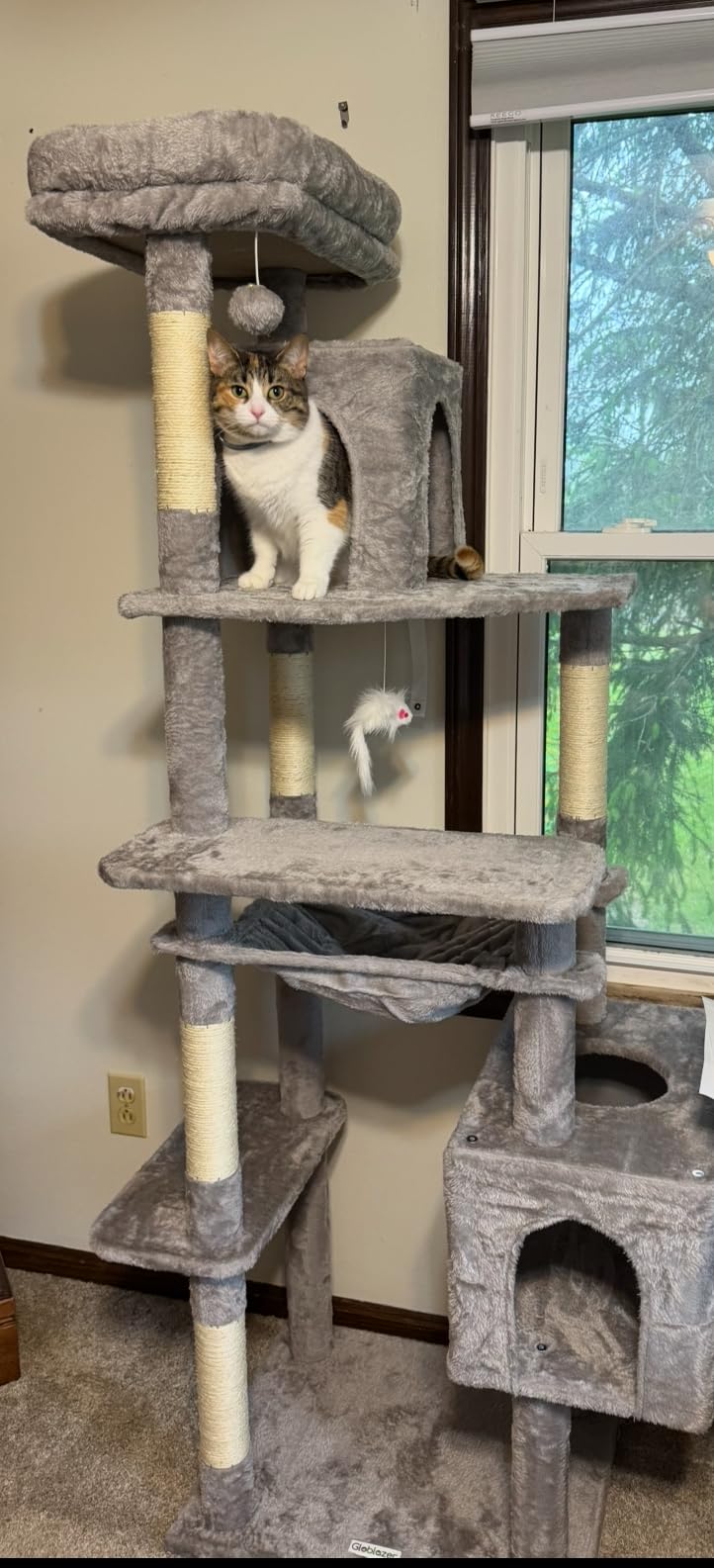 Globlazer Heavy Duty Cat Tree, 70 inch Sturdy Cat Tree for Indoor Cats Extra Large Cat Tower with Scratching Post, Hammock, Cat Condo for Adult Cats Kittens, F70 Pro, Light Grey customer photo 1