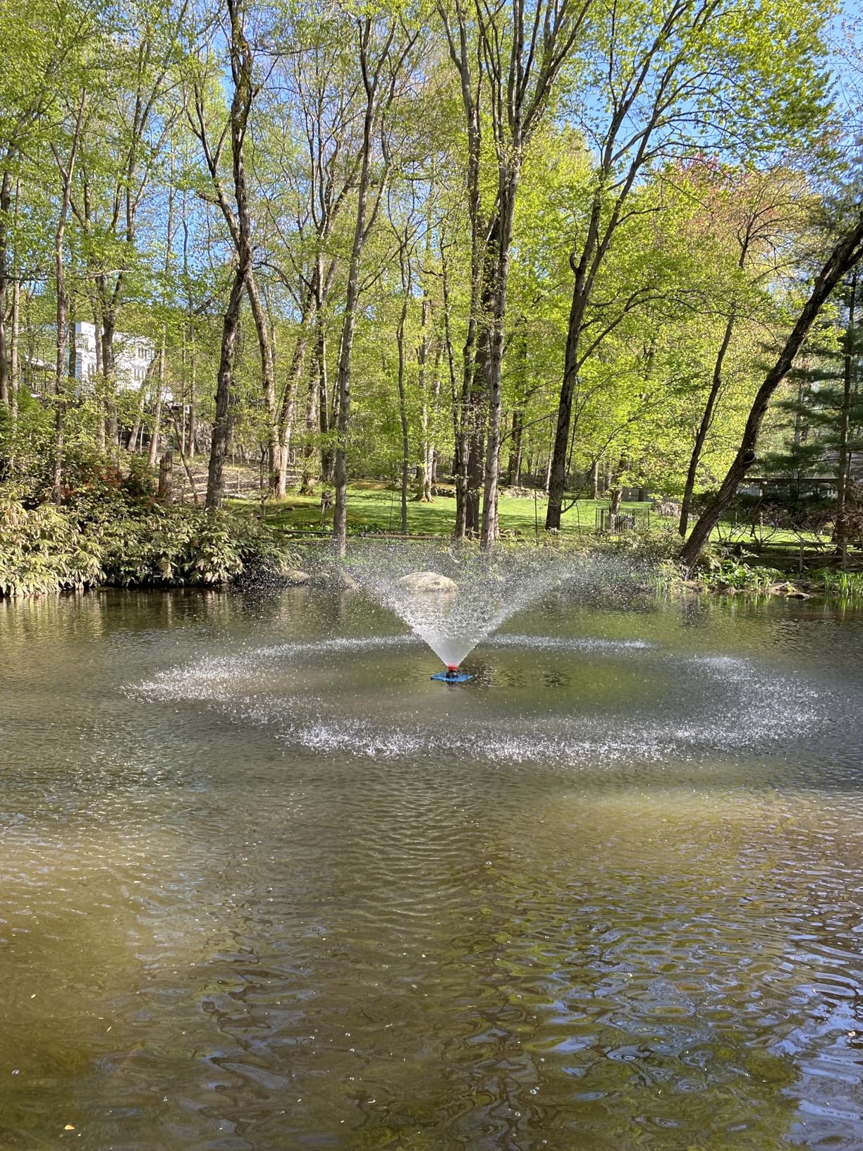 Goldlife Pond Fountain Aerator, F2-2 1HP 750W 110V Stainless Steel Floating Fountain customer photo 1