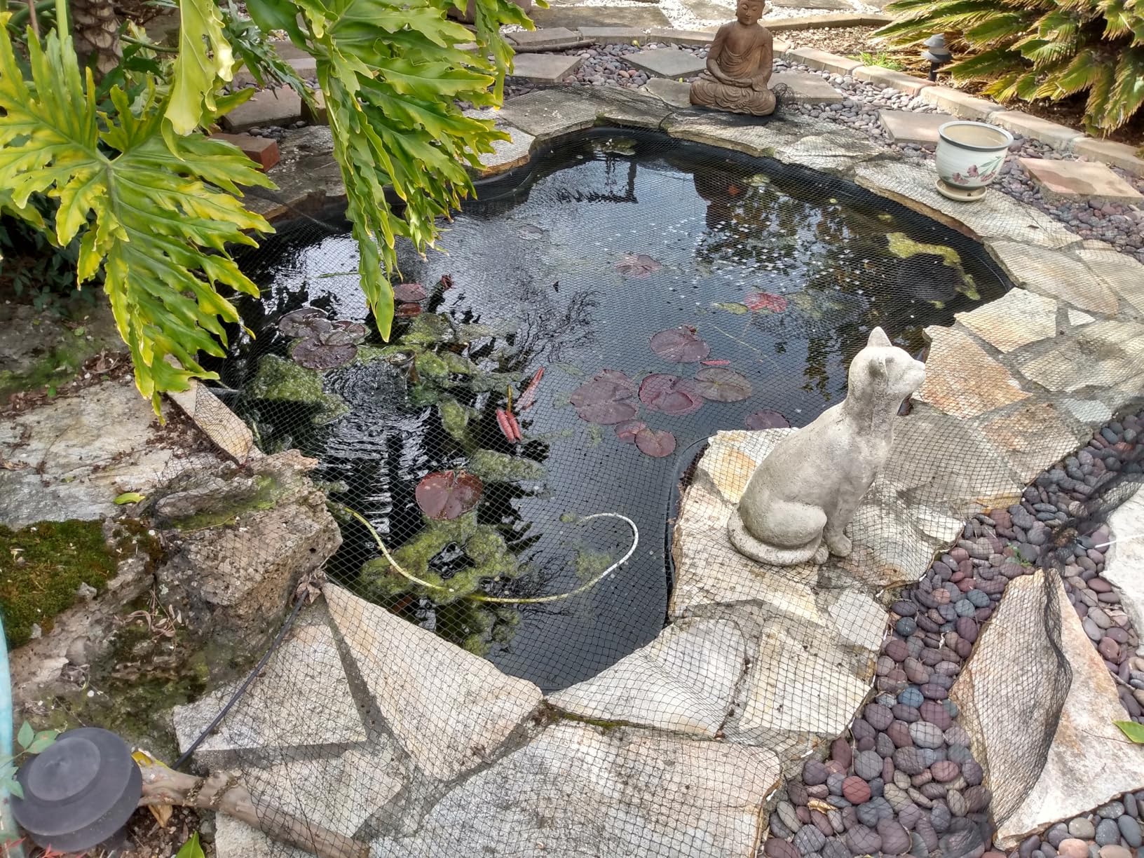 Koi Fish Pond Netting Shield 15ft x 20ft, Black Heavy Duty Pool Leaf net Cover, Protects Garden Pond from Birds,Cats & Predators Away, Durable & Stakes Included (Black) customer photo 1