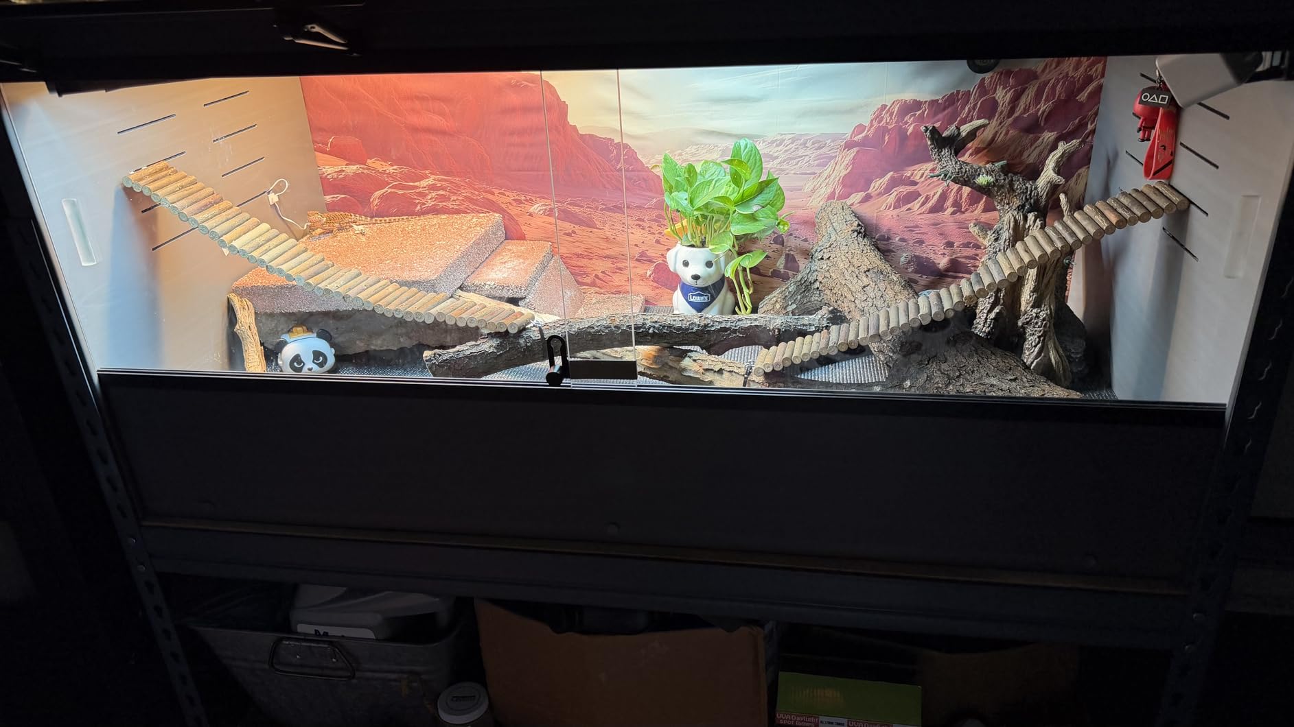 REPTI ZOO Switchable UVB Light for Reptiles, 39W T5 UVB Light Combo Kit for Tropical & Desert Reptile, 34