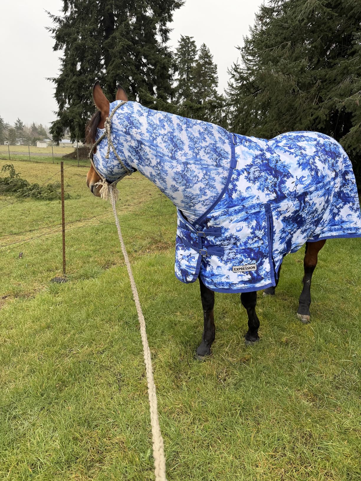 Jeffers Expression 1200 Denier Standard Neck Turnout Blanket, Rose Garden, 75