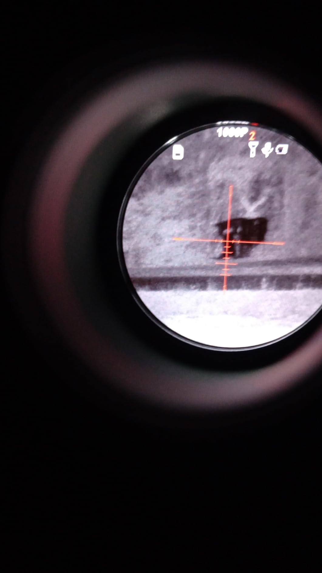 GOYOJO Digital Night Vision Scope, Day & Night Hunting Rifle Optics, 1080P/2K Resolution NV Scopes for Hunting with Camera & Video customer photo 1