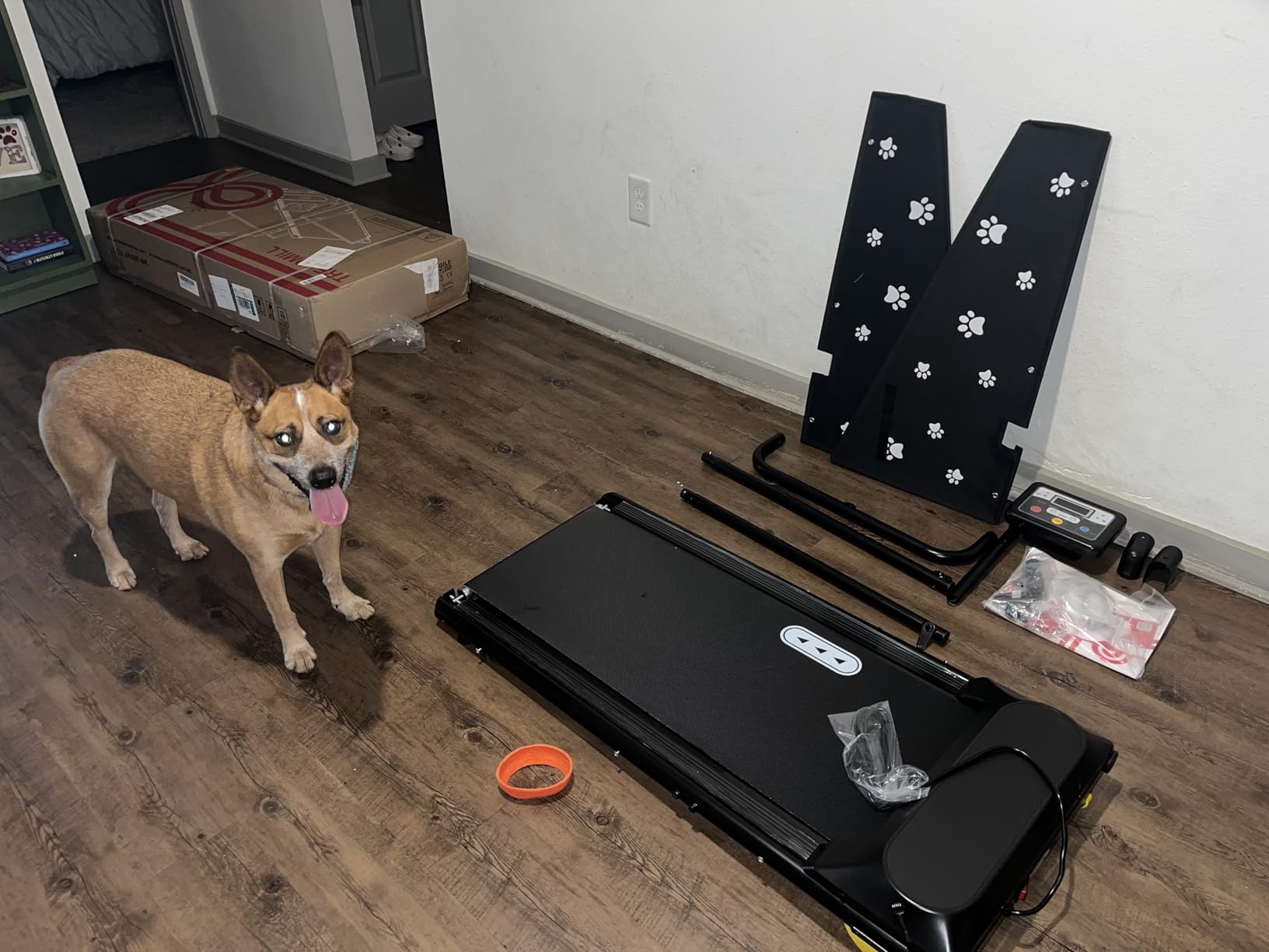 CIIHI Dog Treadmill for Medium Small Dogs - 265lbs Weight Capacity Pet Running Machine with 360° Rotatable Display - 2 in 1 Treadmill for Pet Fitness with Move Wheels and Remote Control customer photo 2