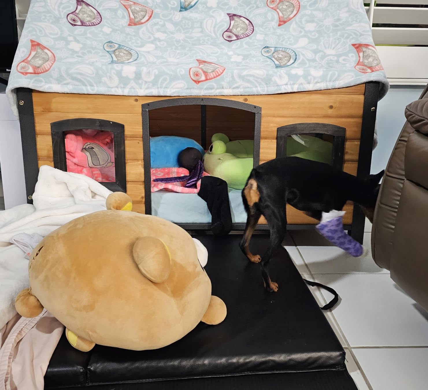 GUTINNEEN Heated Dog House Outdoor 43.3