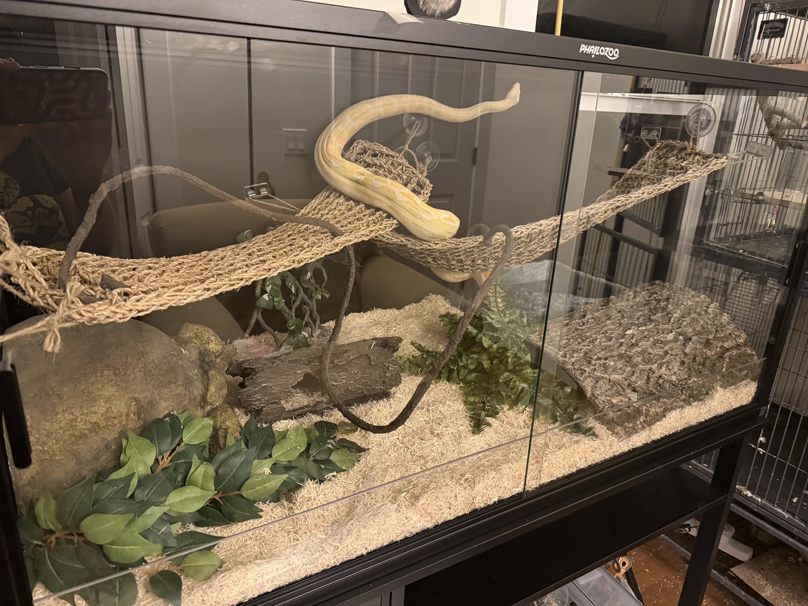 Phailozoo 120 Gallon Bearded Dragon Tank, Stackable Reptile Enclosure with Front Sliding Tempered Glass Doors, Easy Assembly Aluminum Frame Reptile Tank for Snake & Lizard customer photo 2